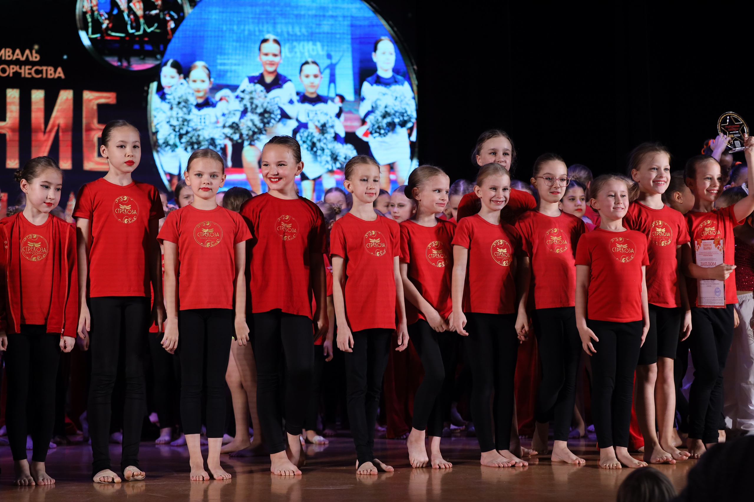 4 ноября, блок 1, награда, г. Краснодар. Золотое яблочко