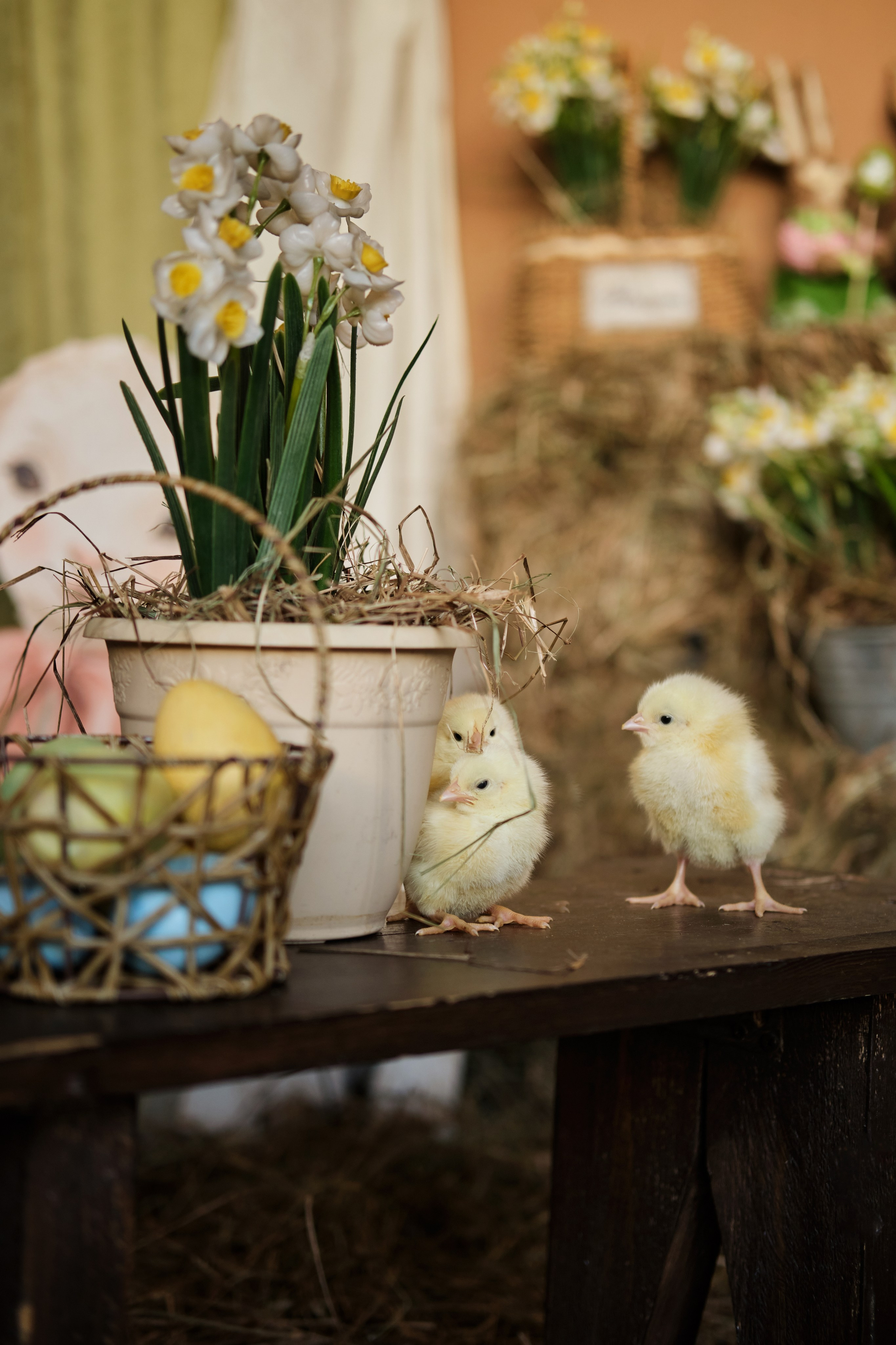 ЗАЛЫ. Фотостудия Нижний Новгород