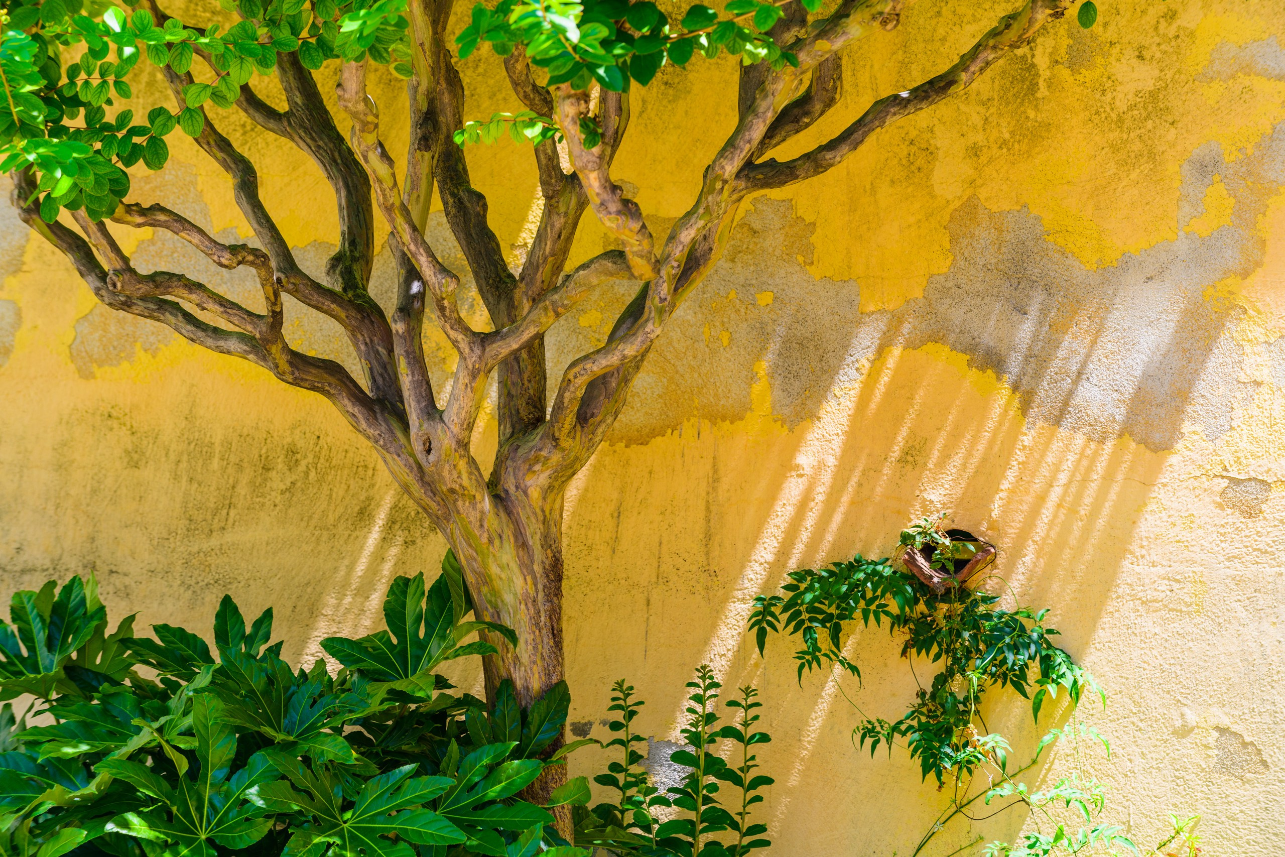 Город. Авторские стильные фотокартины