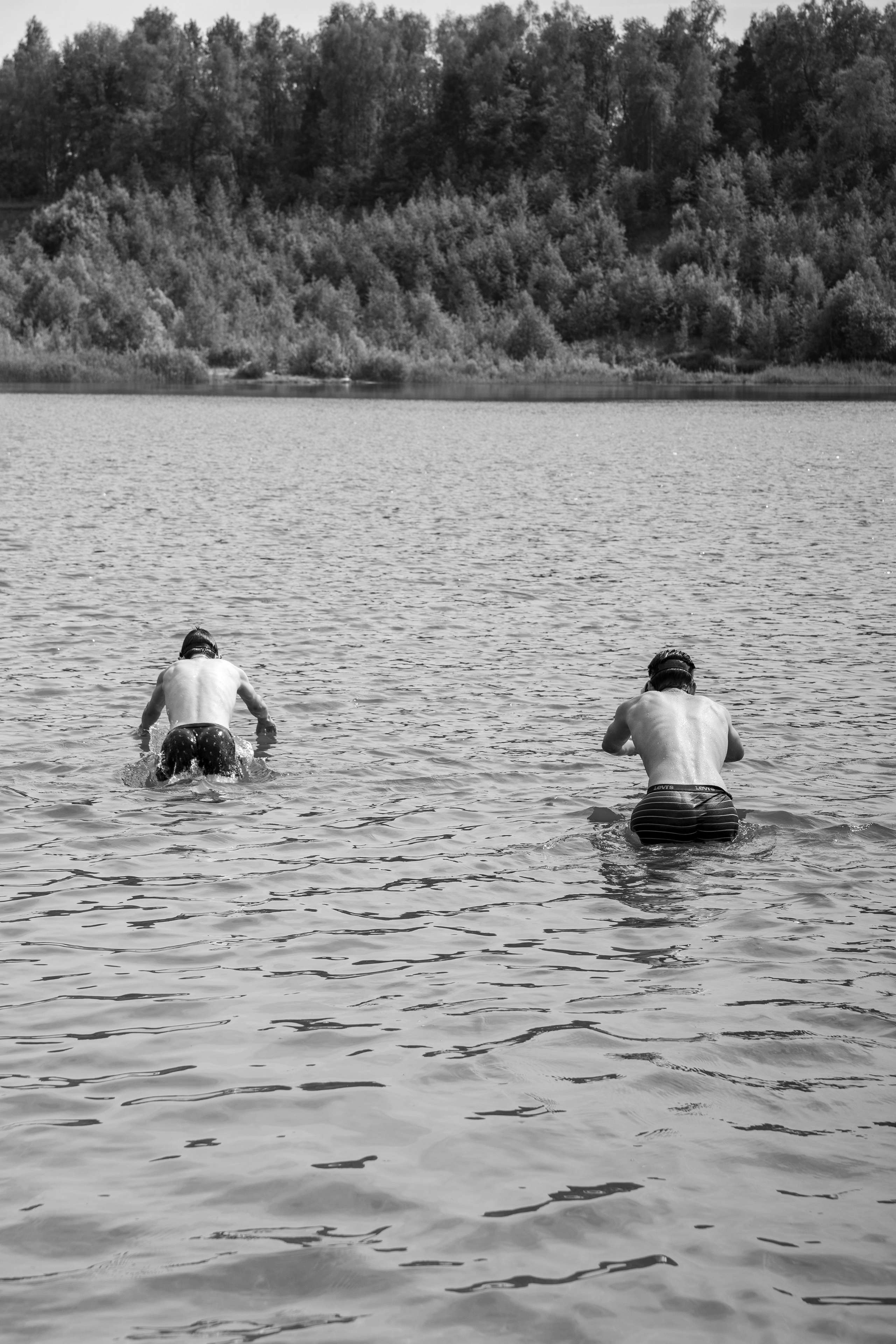 Творчество. Дмитрий Шуйский, фотограф