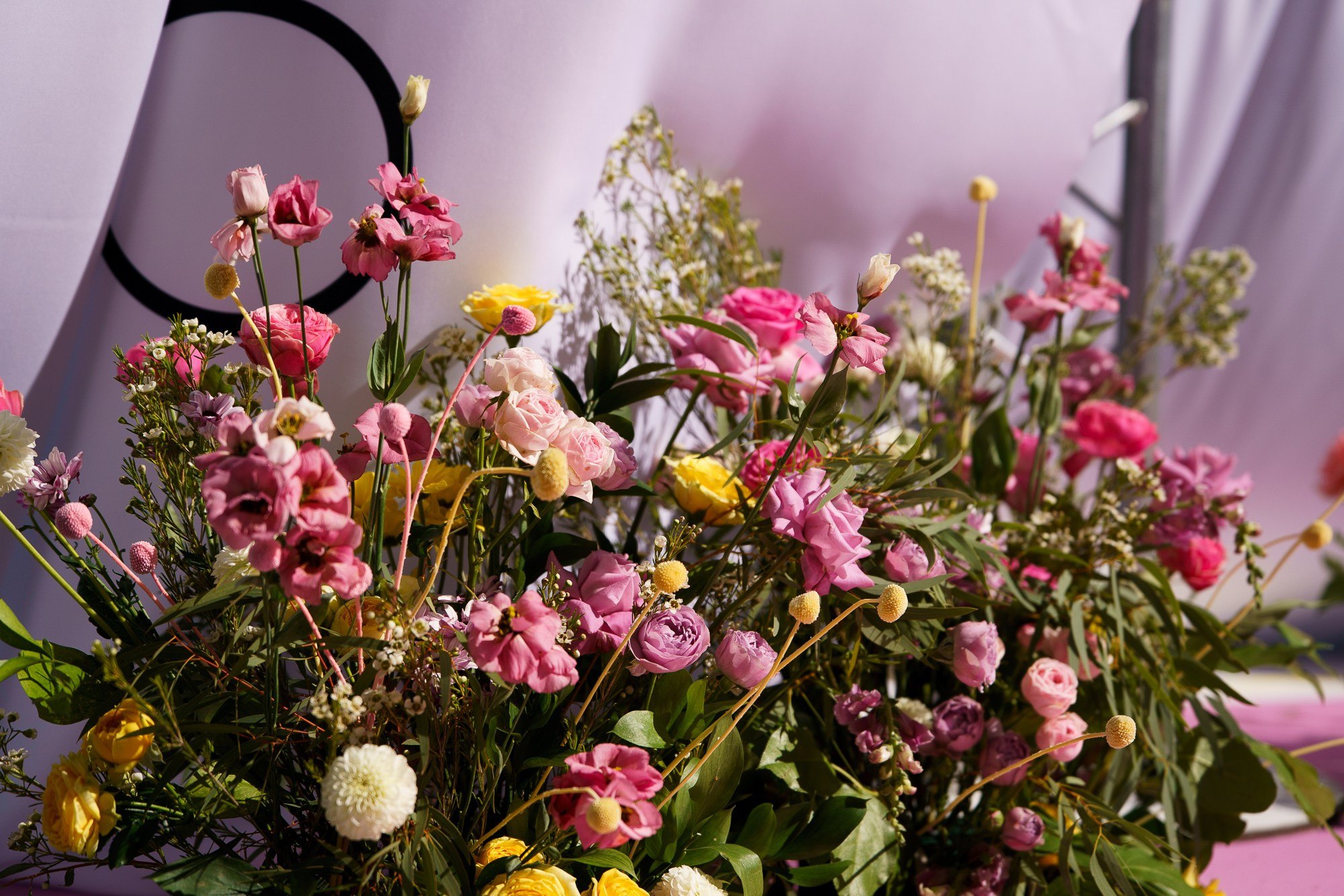 Останови это Лето. Свадебный Видеограф Фотограф в Сочи