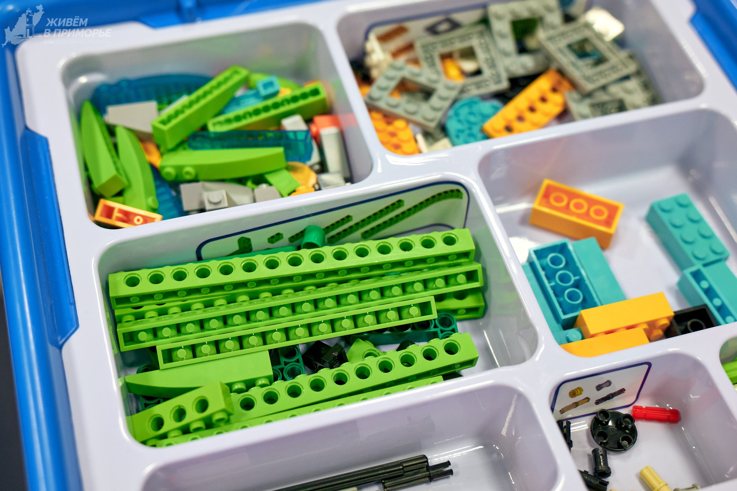 Ярмарка образования 2025.03.16. Профессиональный репортажный фотограф Инесса Иминова