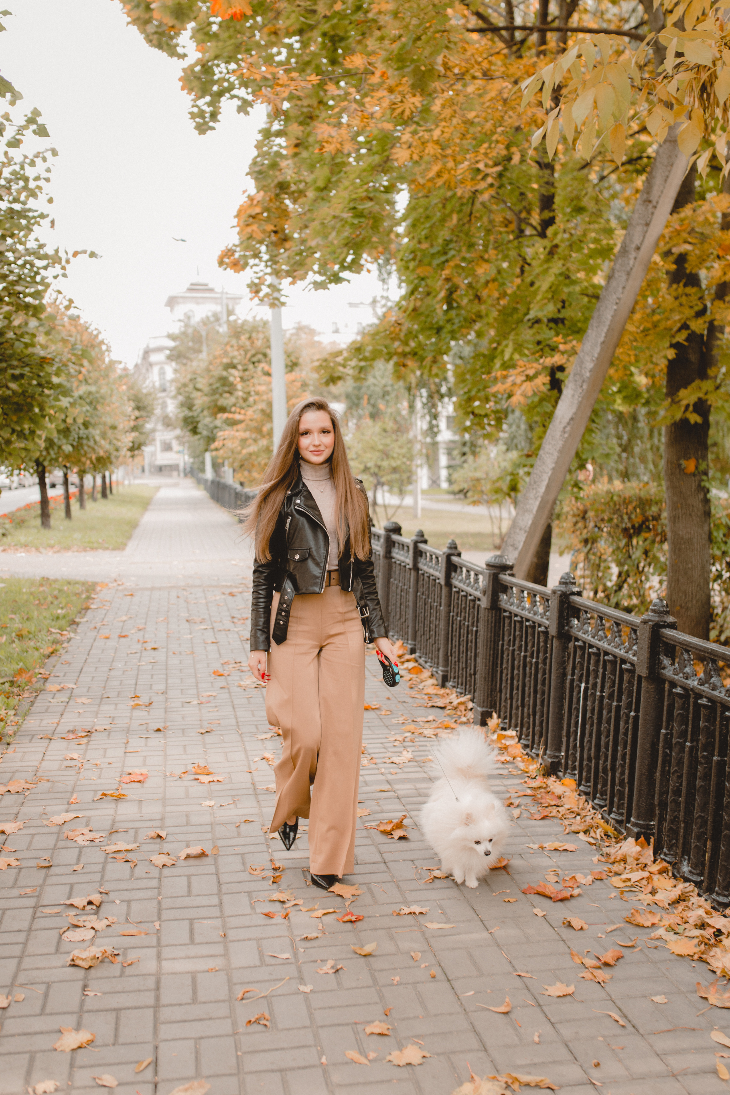 Стэлла. Главная