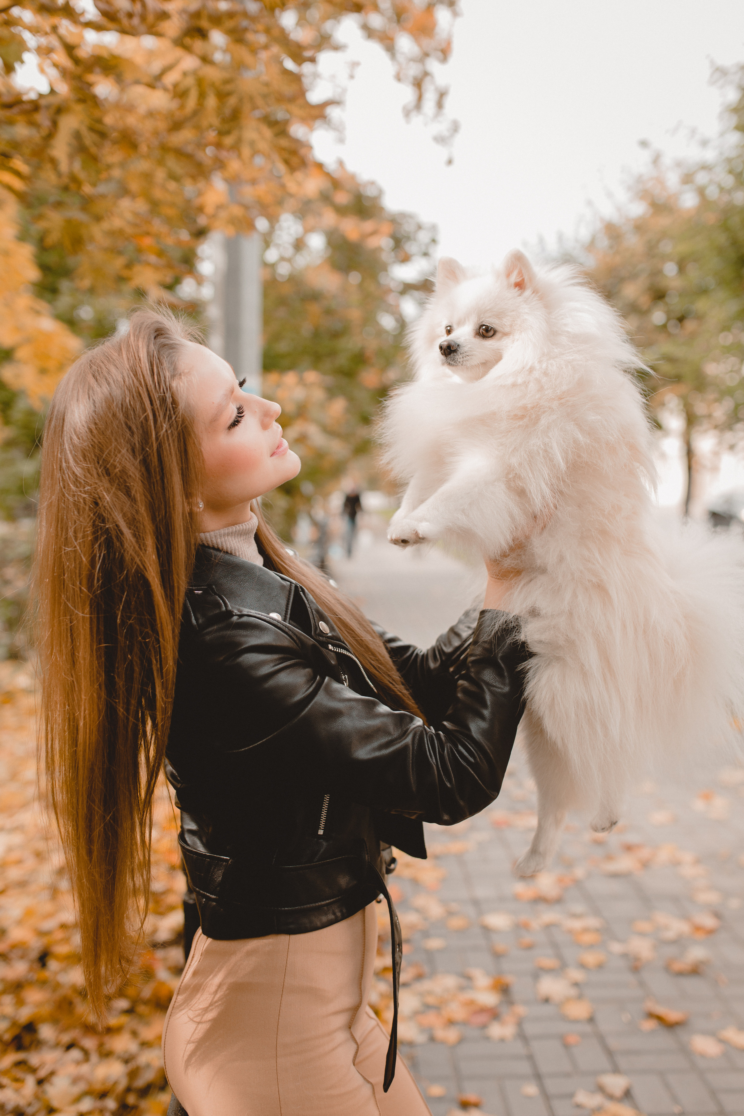 Стэлла. Главная