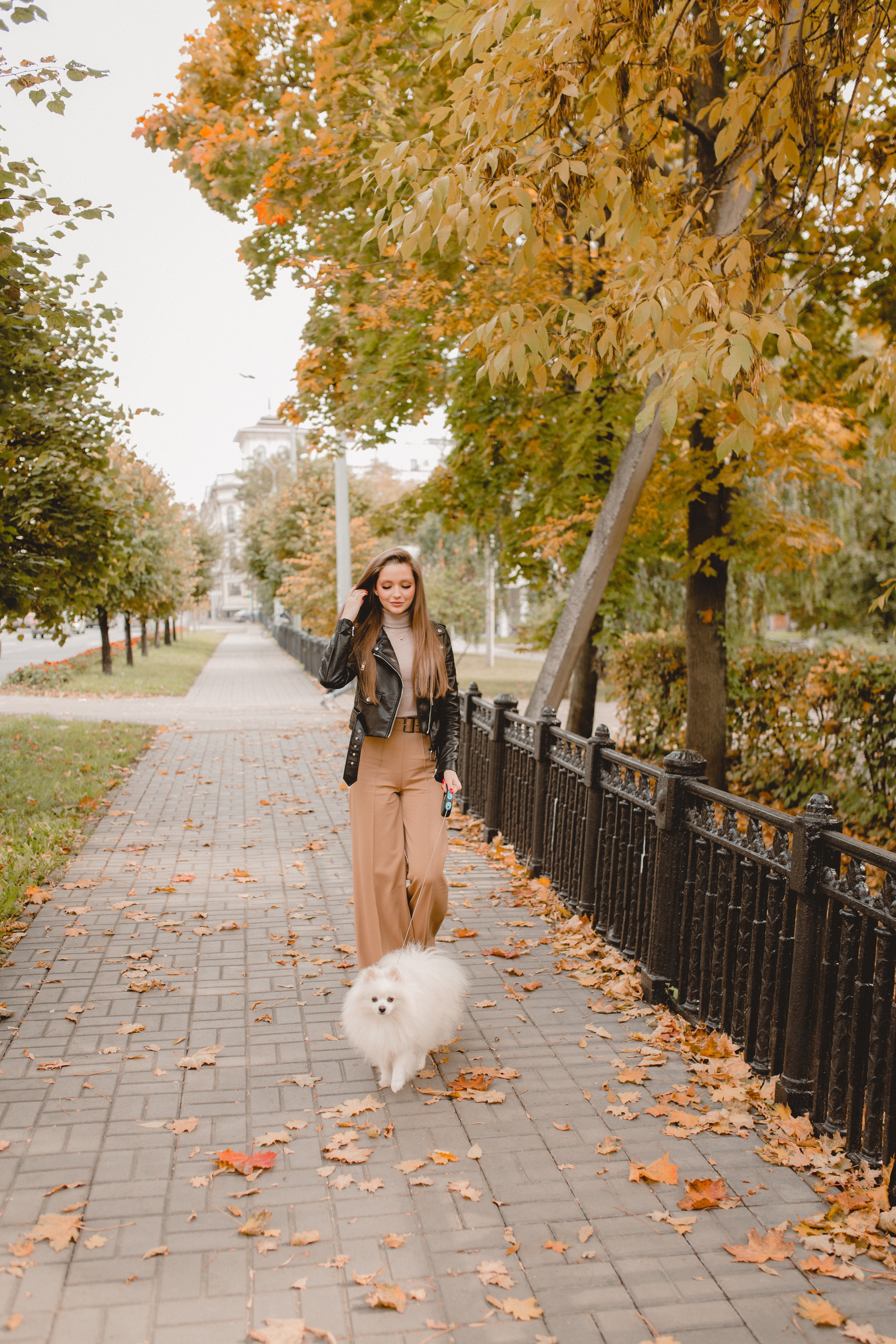 Стэлла. Главная