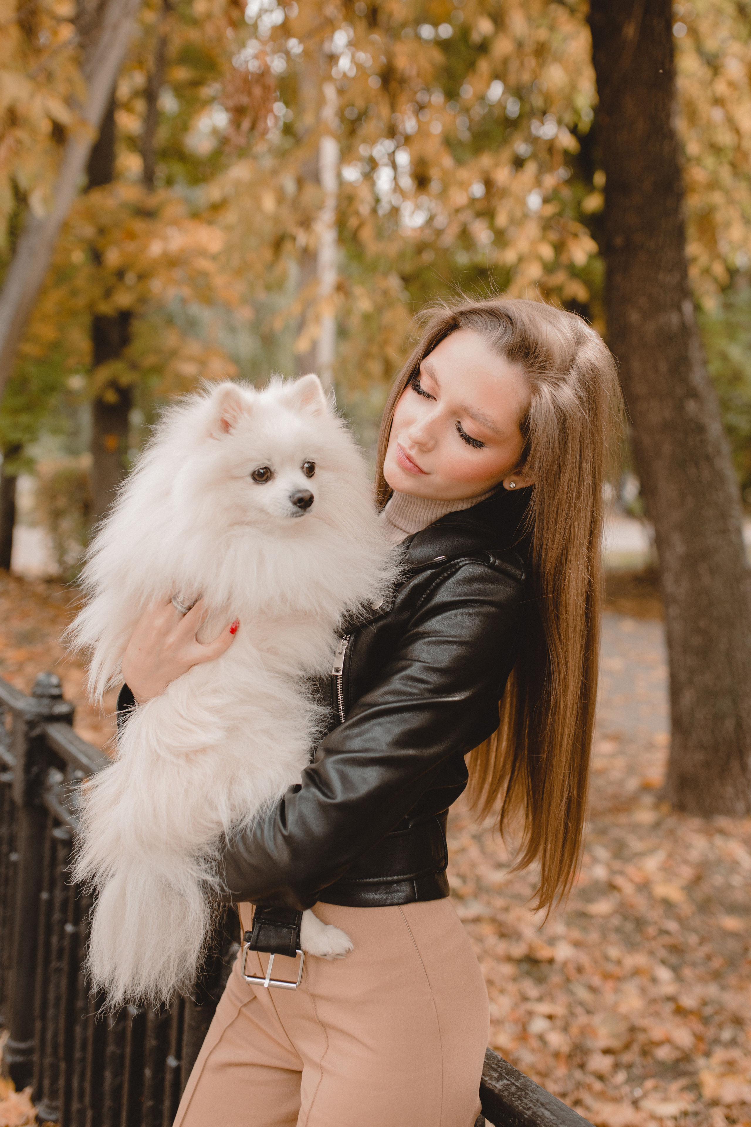 Стэлла. Главная