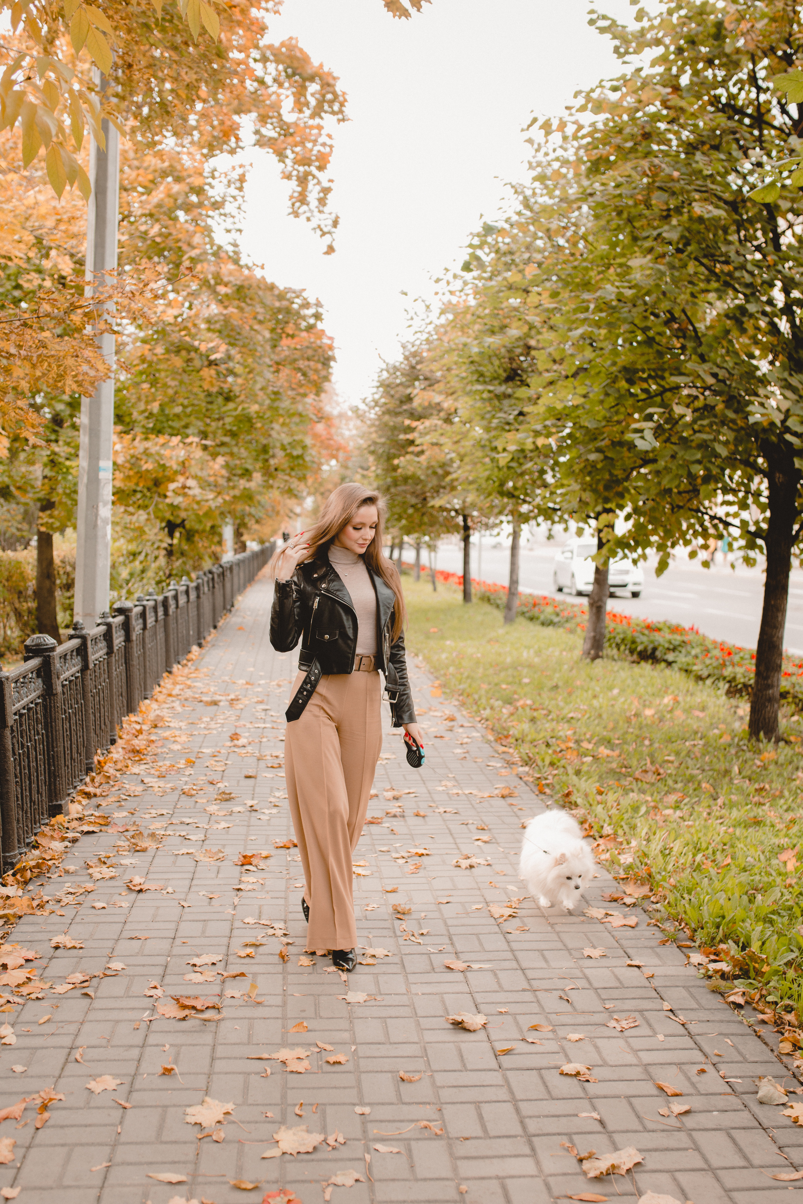 Стэлла. Главная