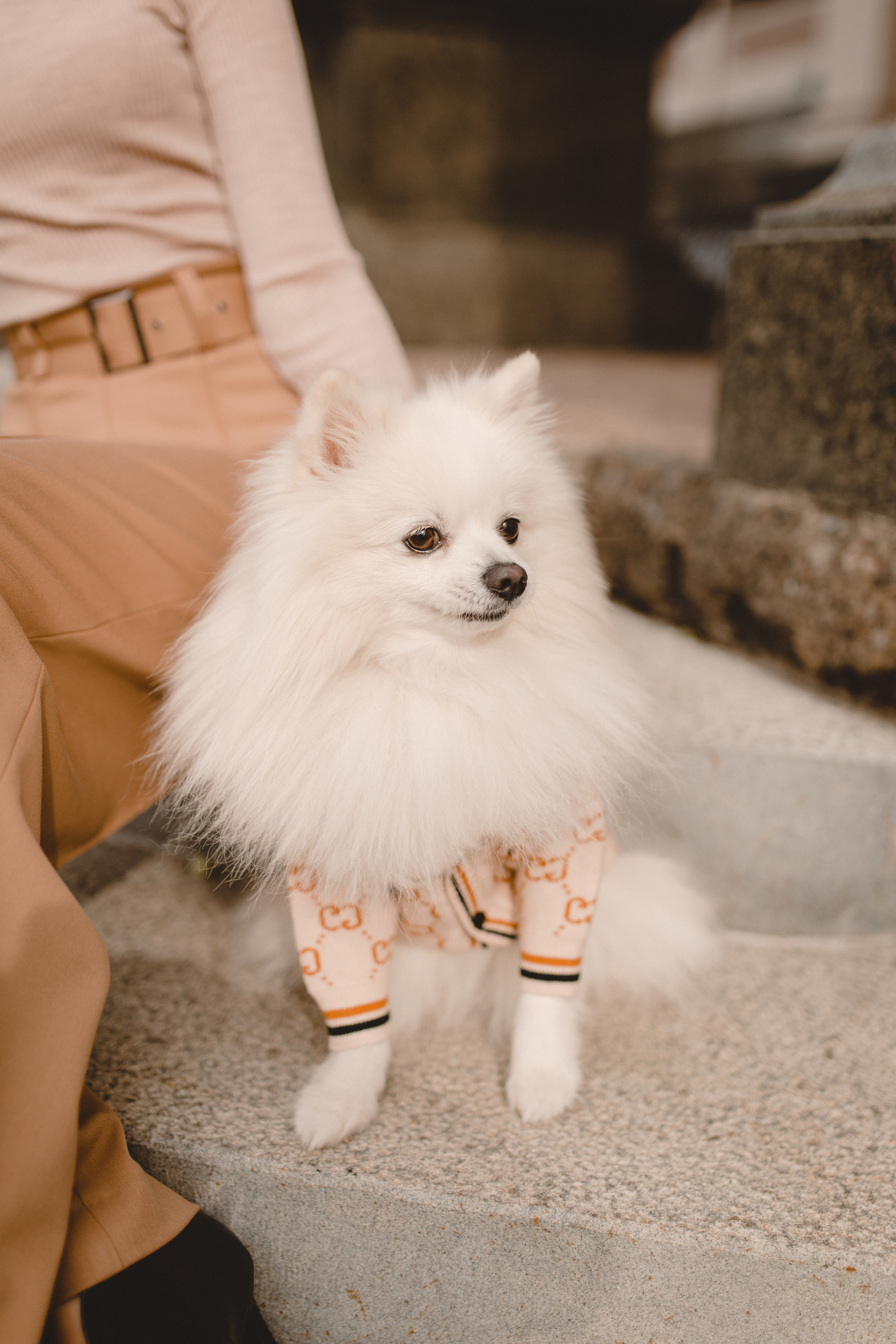 Стэлла. Главная