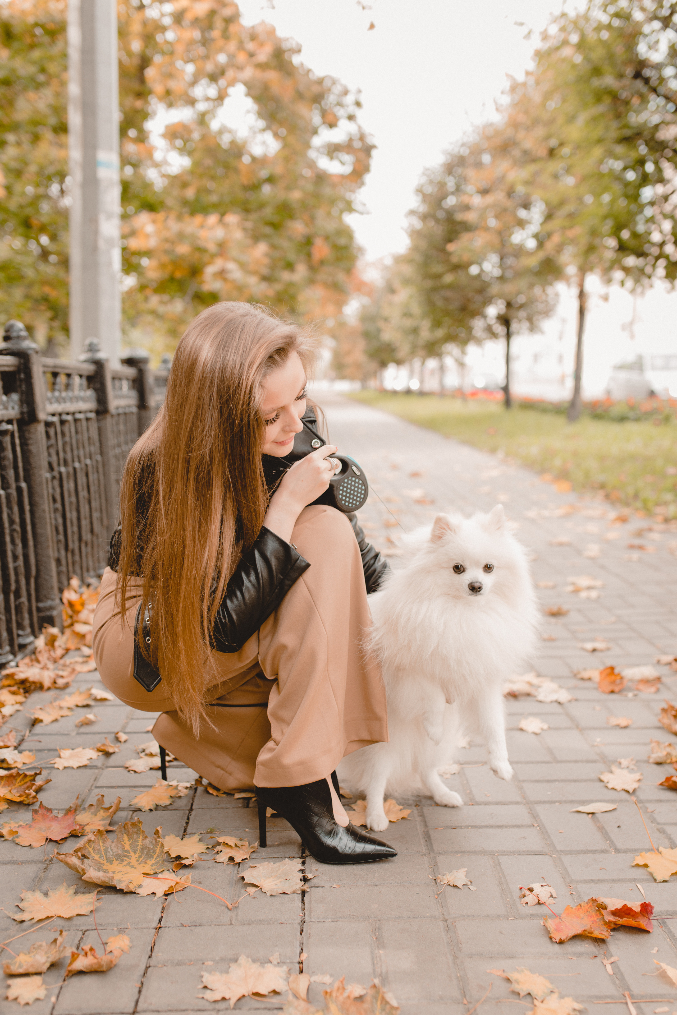 Стэлла. Главная