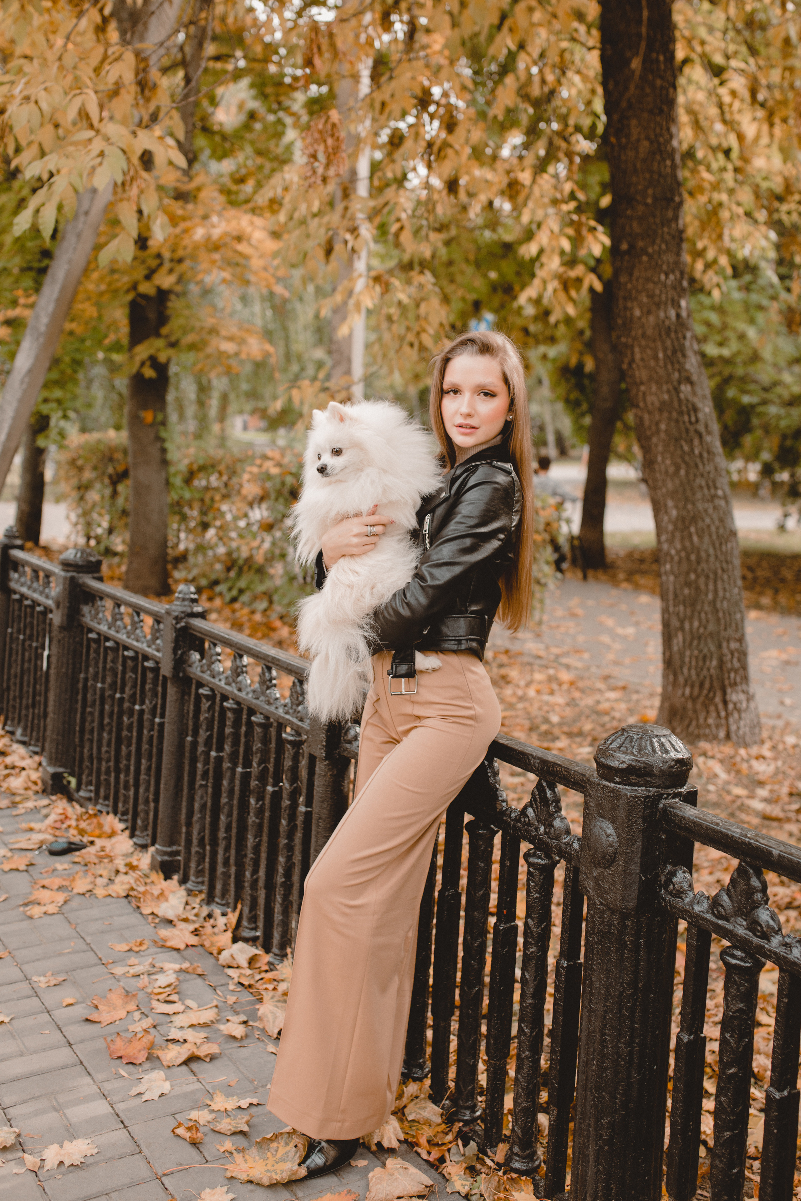 Стэлла. Главная