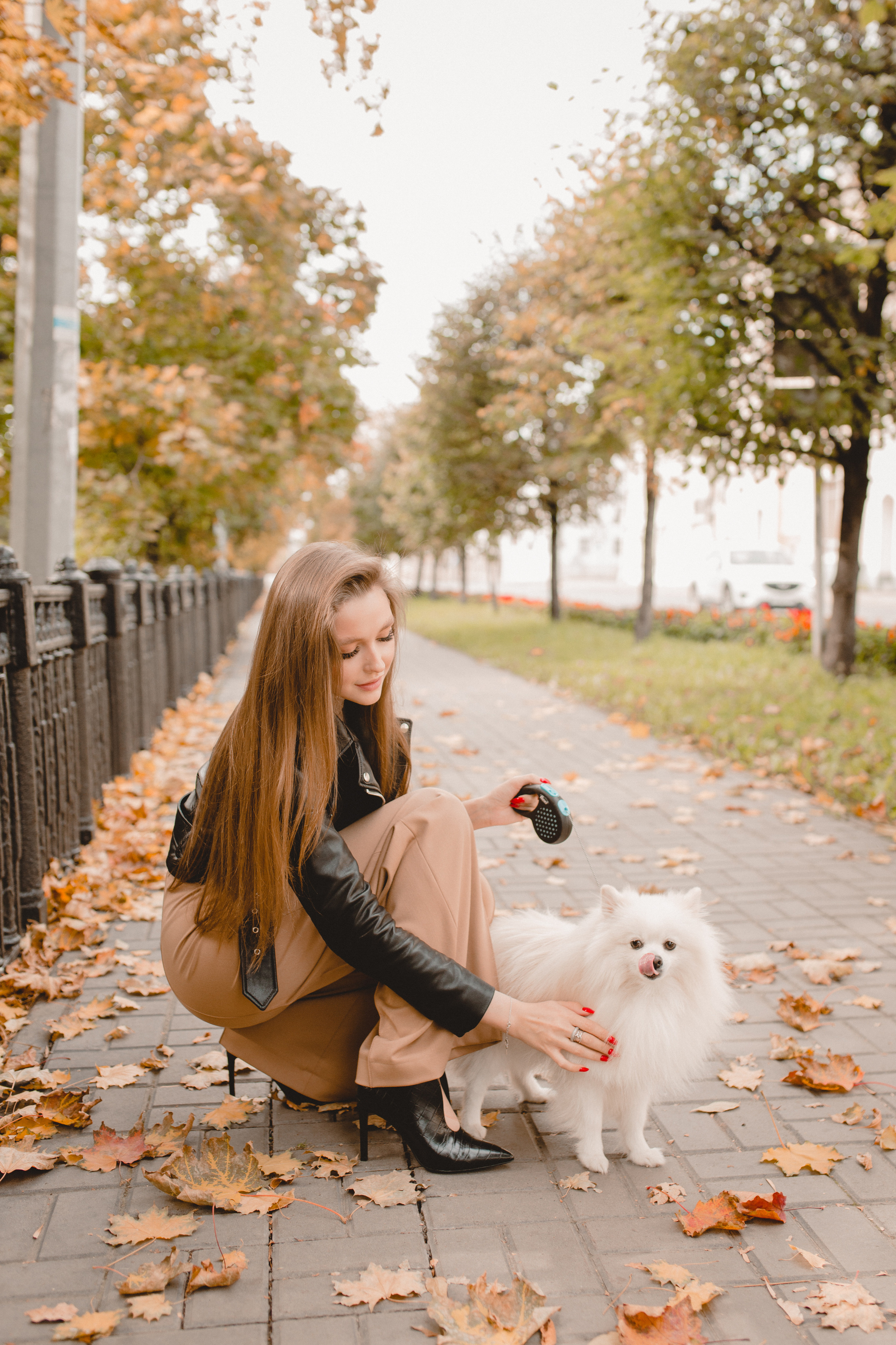 Стэлла. Главная