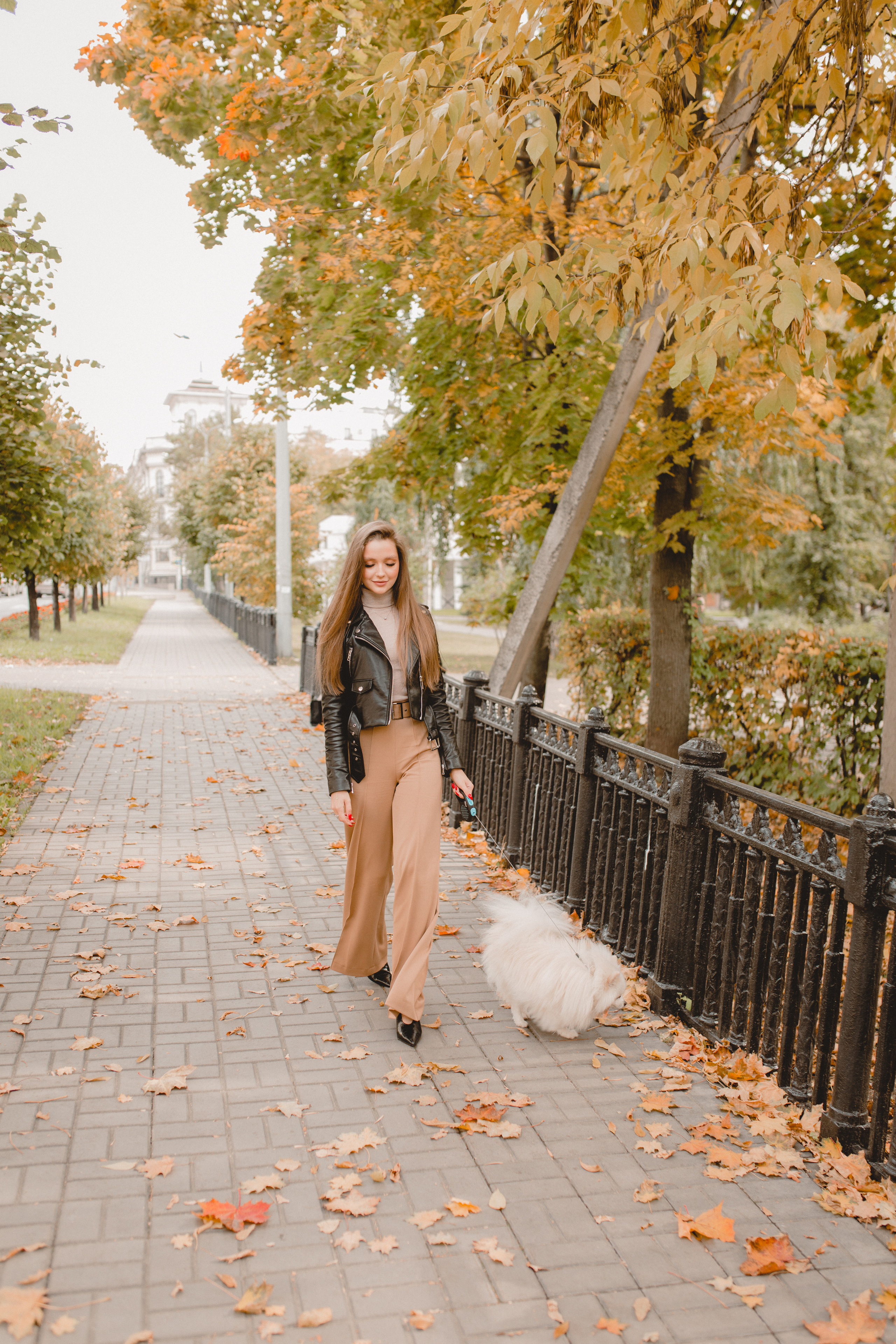 Стэлла. Главная