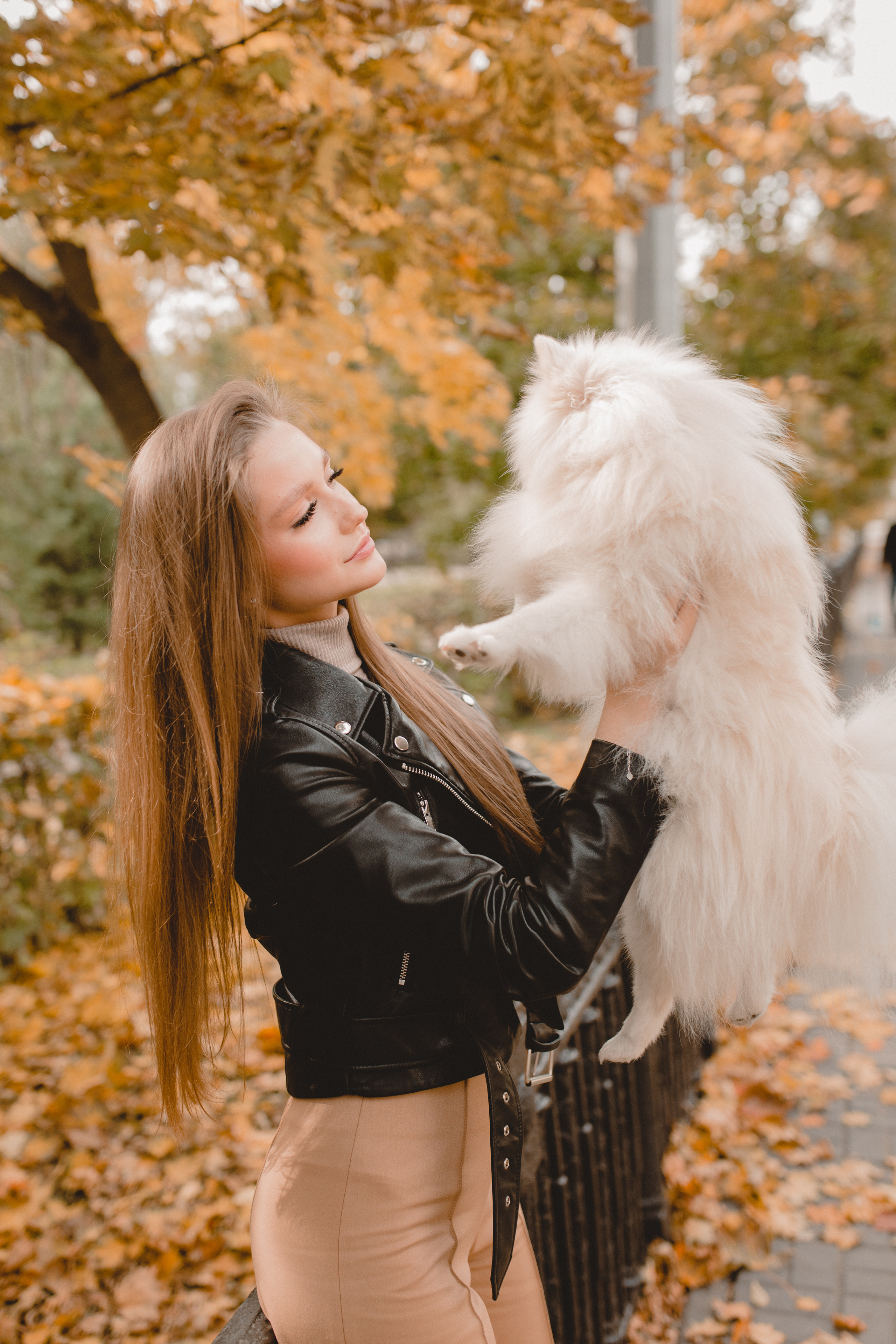 Стэлла. Главная