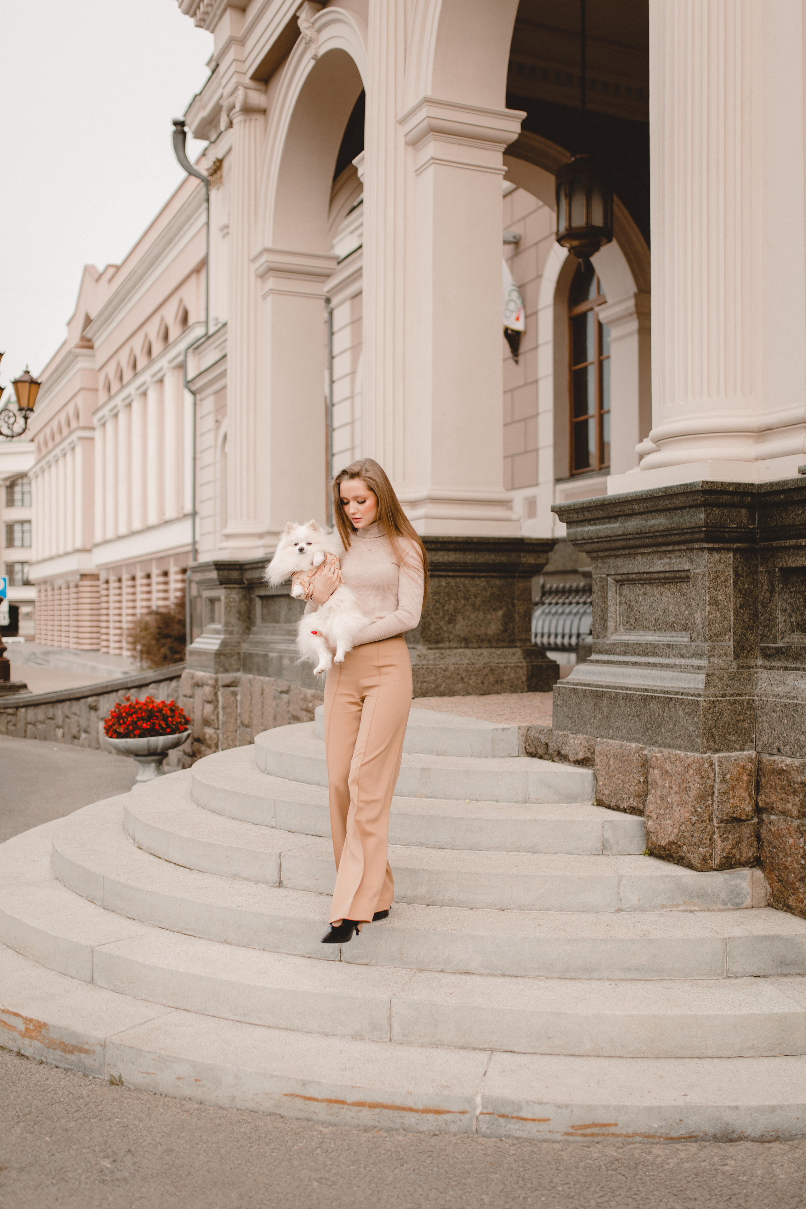 Стэлла. Главная