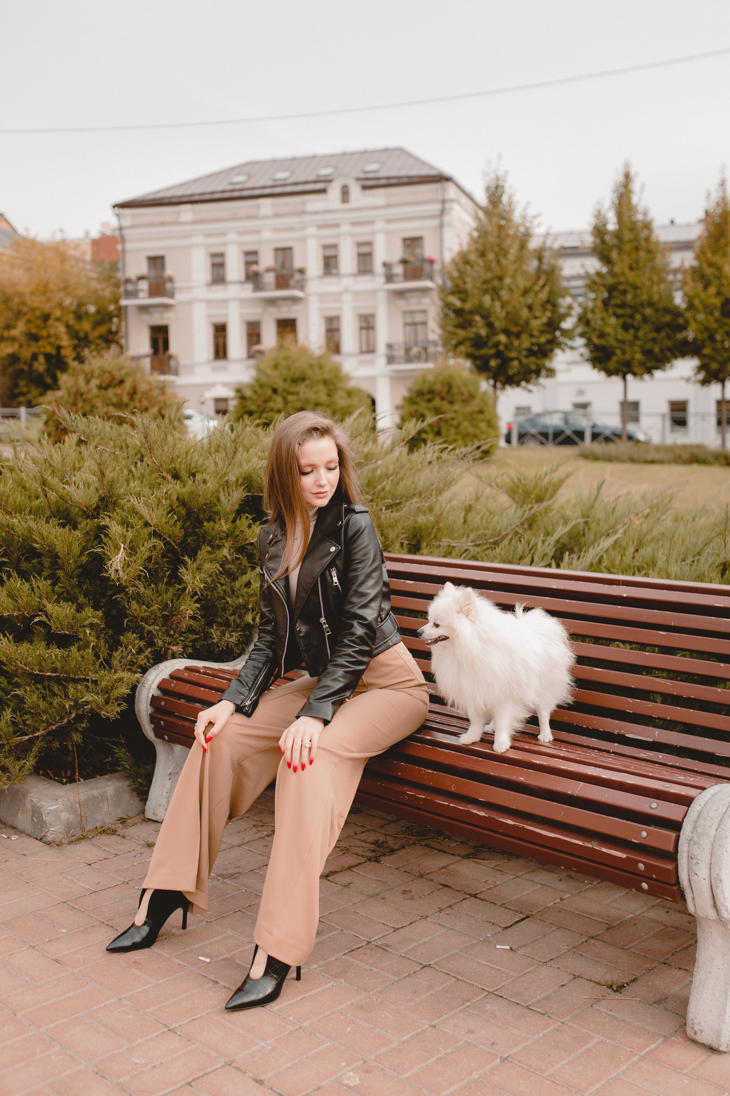 Стэлла. Главная