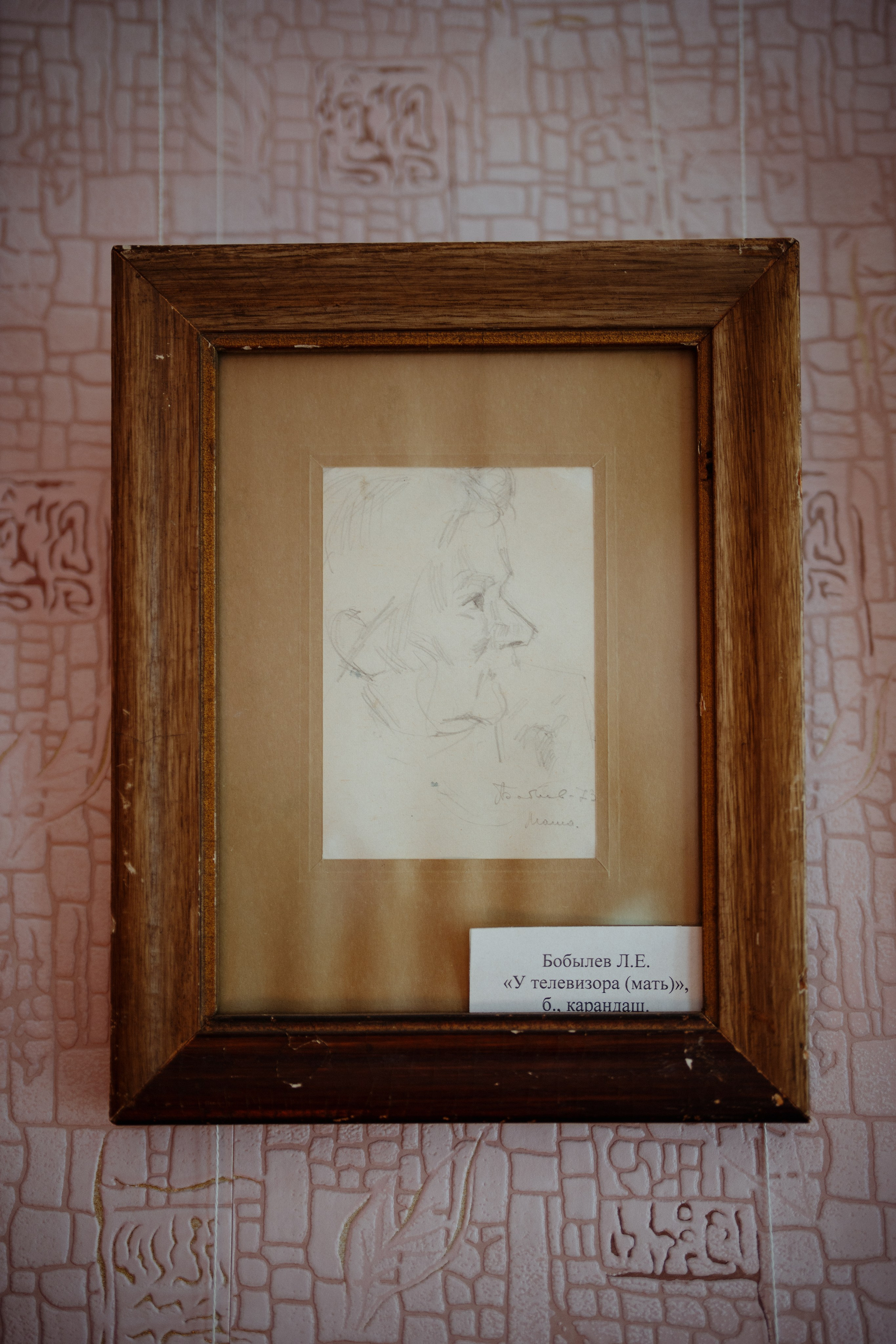 Сюжет № 4│Леонид Евгеньевич Бобылёв