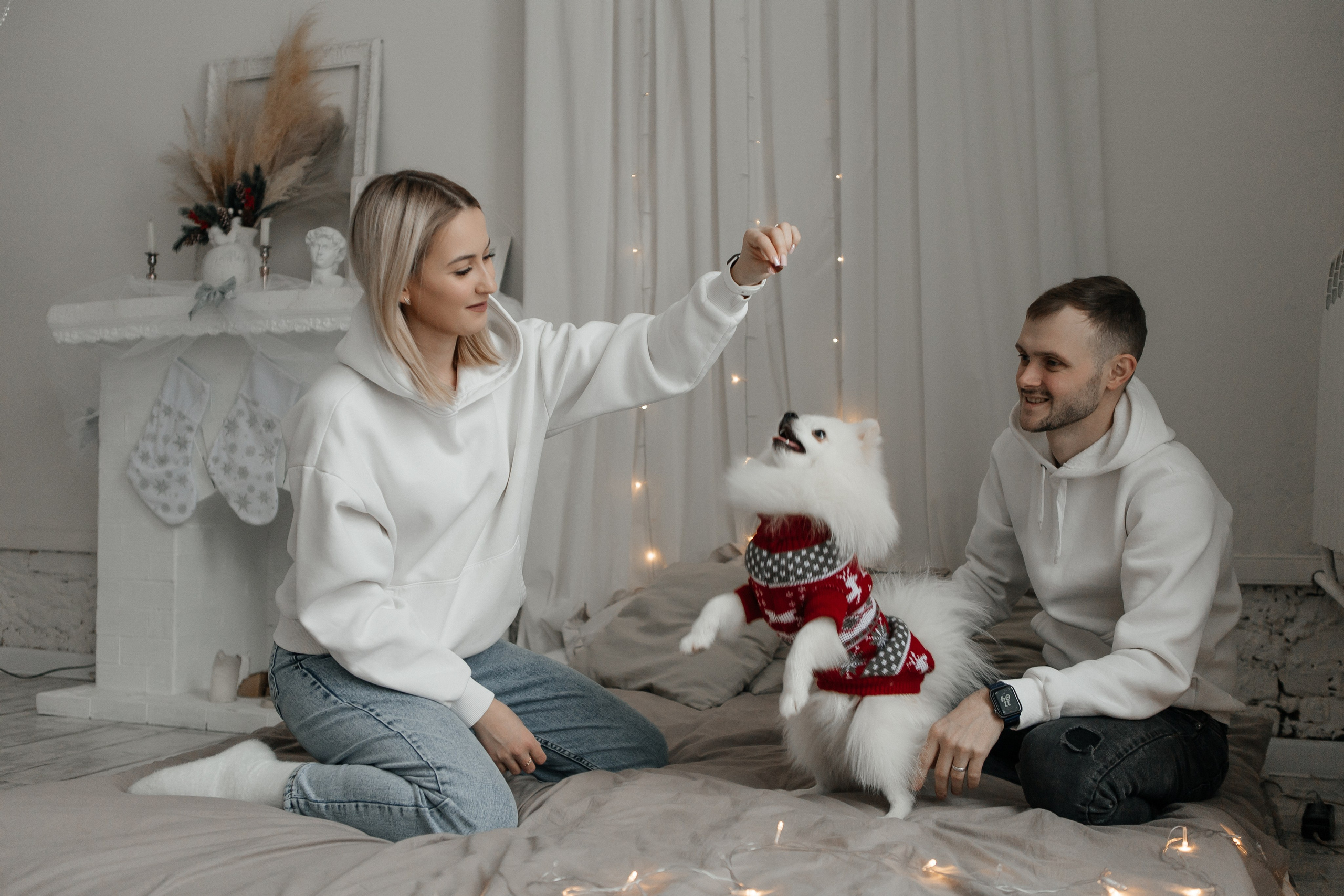 Новогодняя история Каспера. Свадебный фотограф в Тольятти Валерия Барышкина