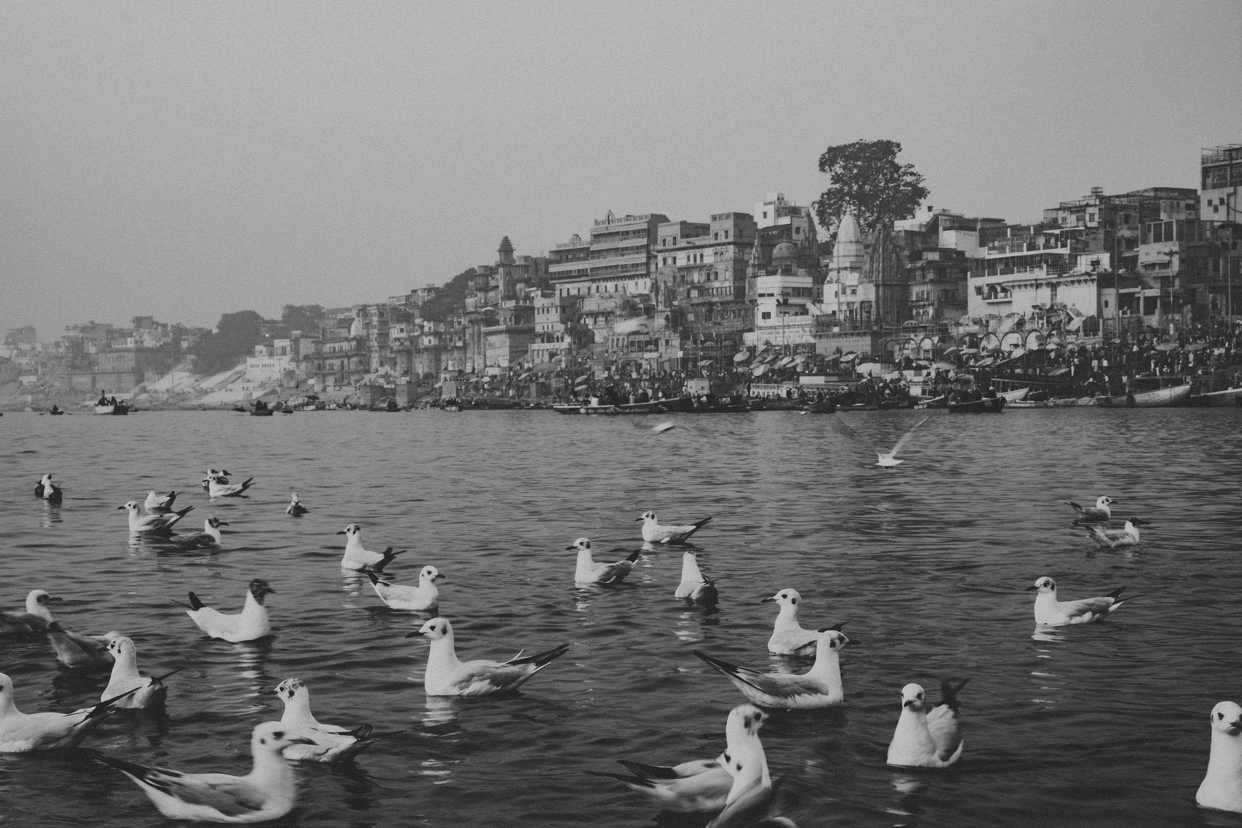 Варанаси. Свадебные и семейные фотографы в Москве Максим и Оксана Первомай
