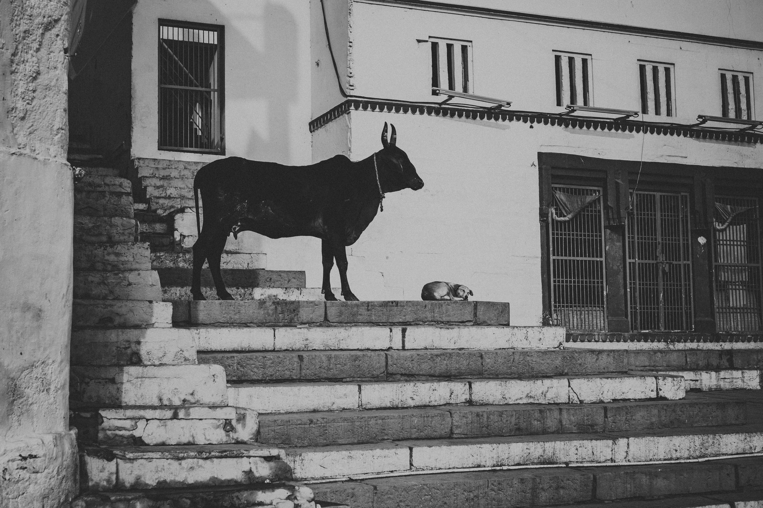 Варанаси. Свадебные и семейные фотографы в Москве Максим и Оксана Первомай
