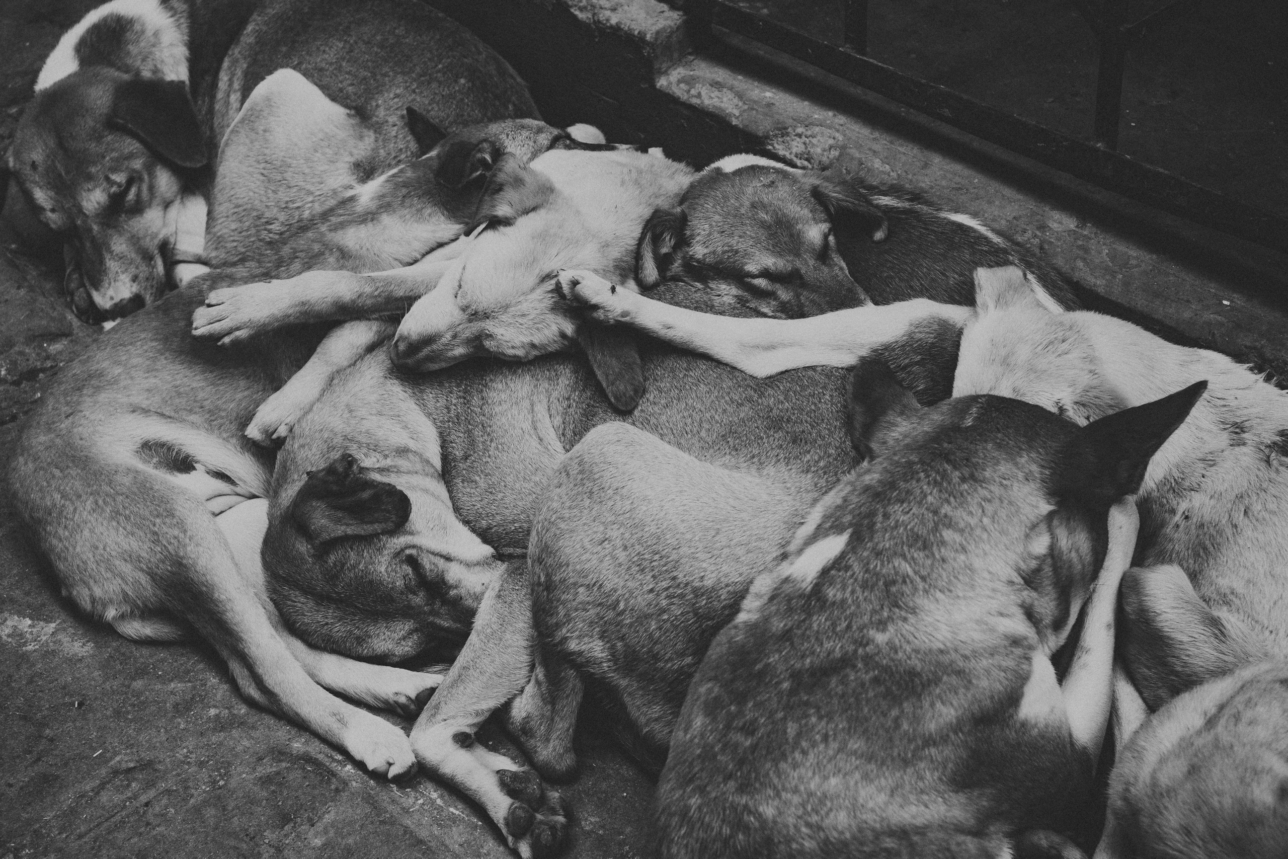 Варанаси. Свадебные и семейные фотографы в Москве Максим и Оксана Первомай