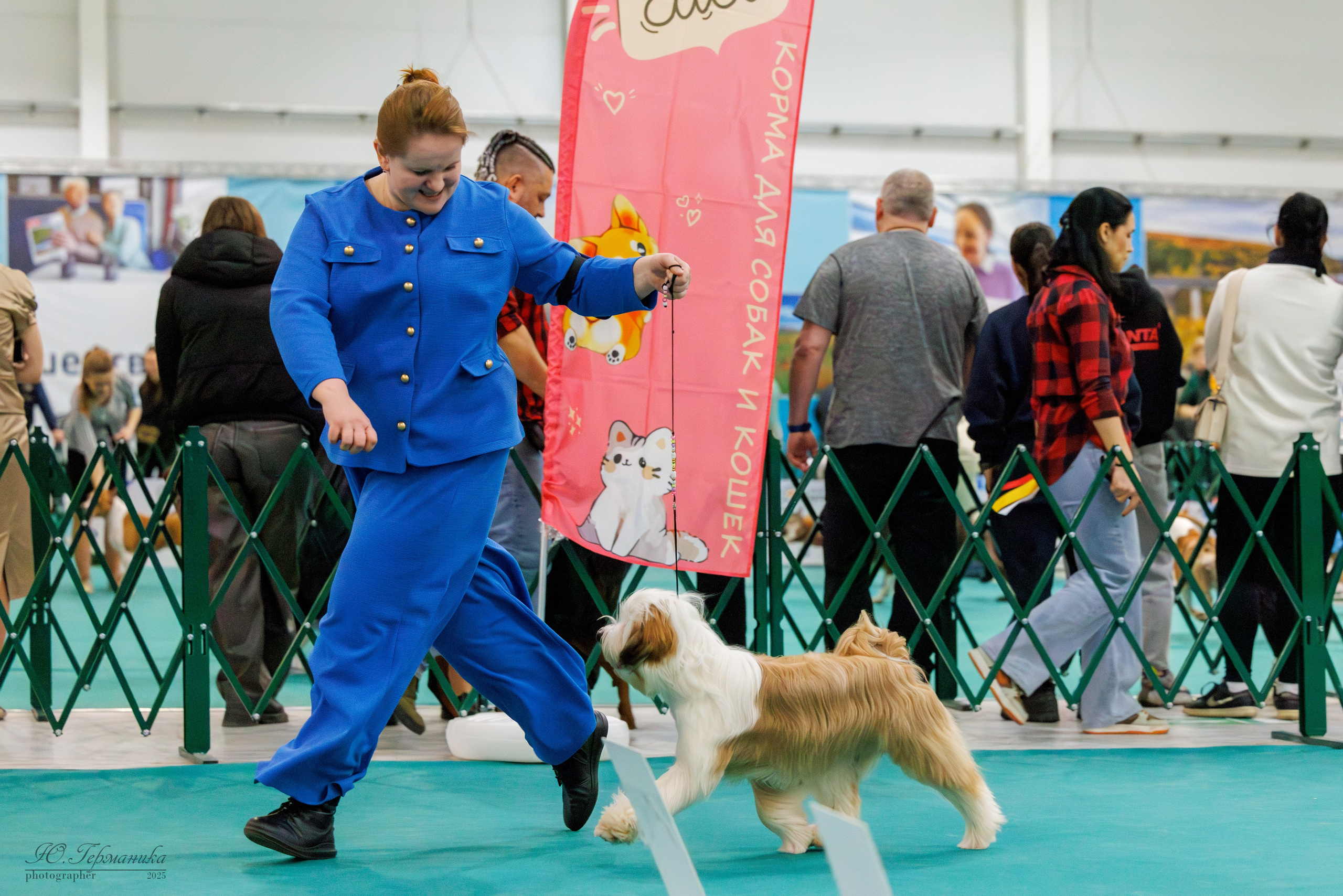 Питер ротвейлеры 18.01,Крокус 19.01.2025. Фотограф-анималист Юлия Германика
