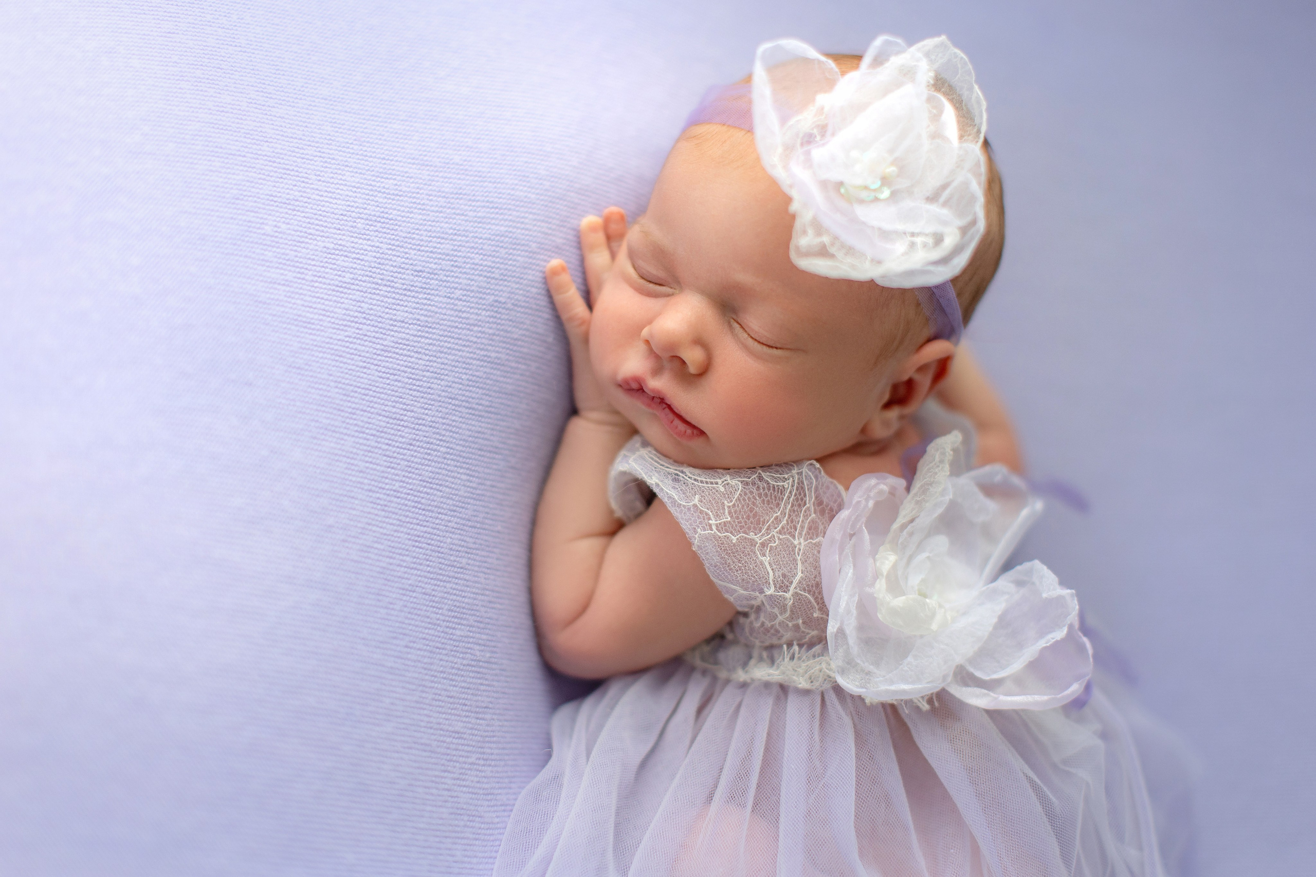 Lavender. Фотограф новорожденных, семейный фотограф в Санкт-Петербурге