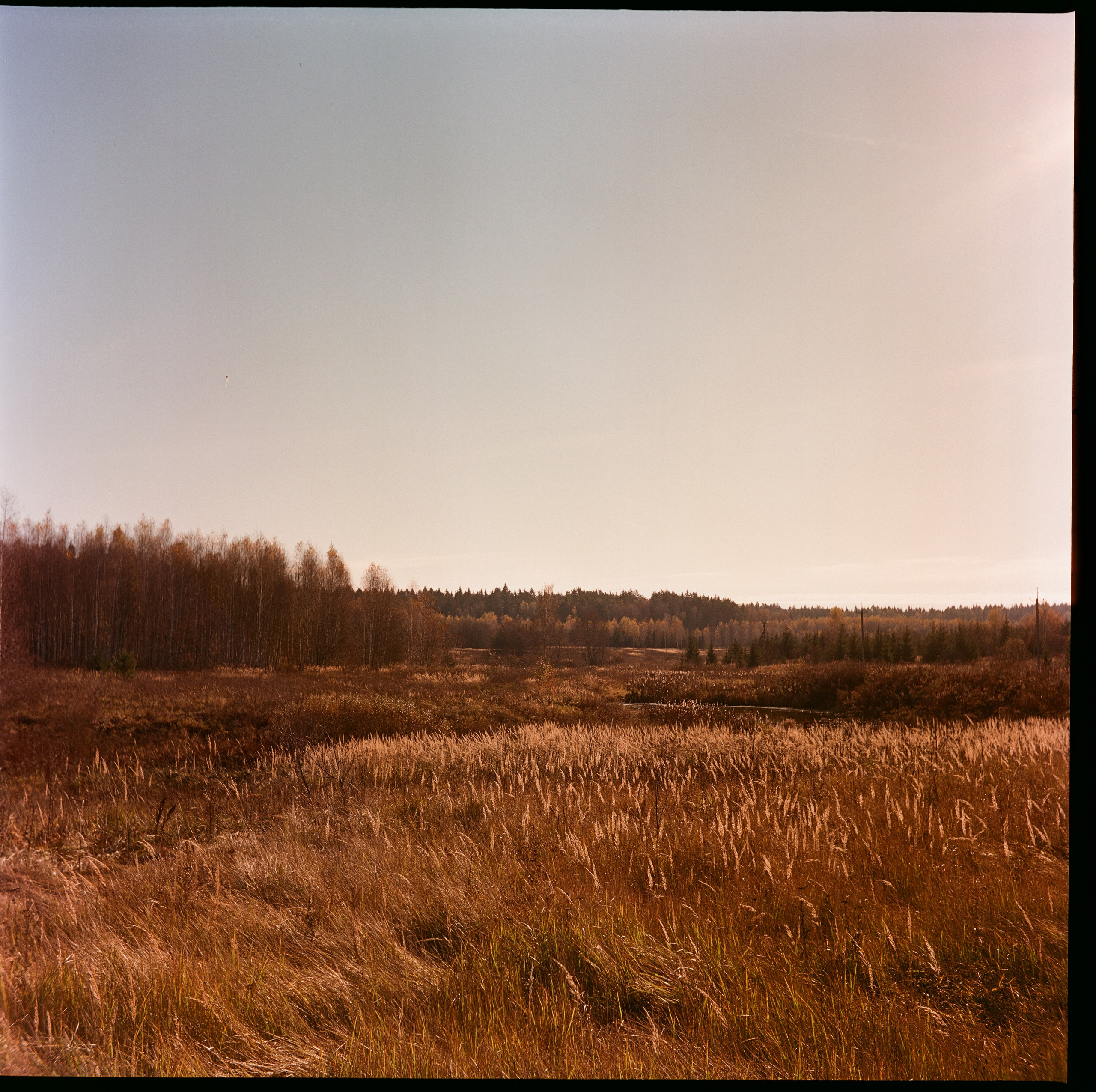 Yashica 635 / Kodak Aerocolor IV / октябрь 2024 года Лукино