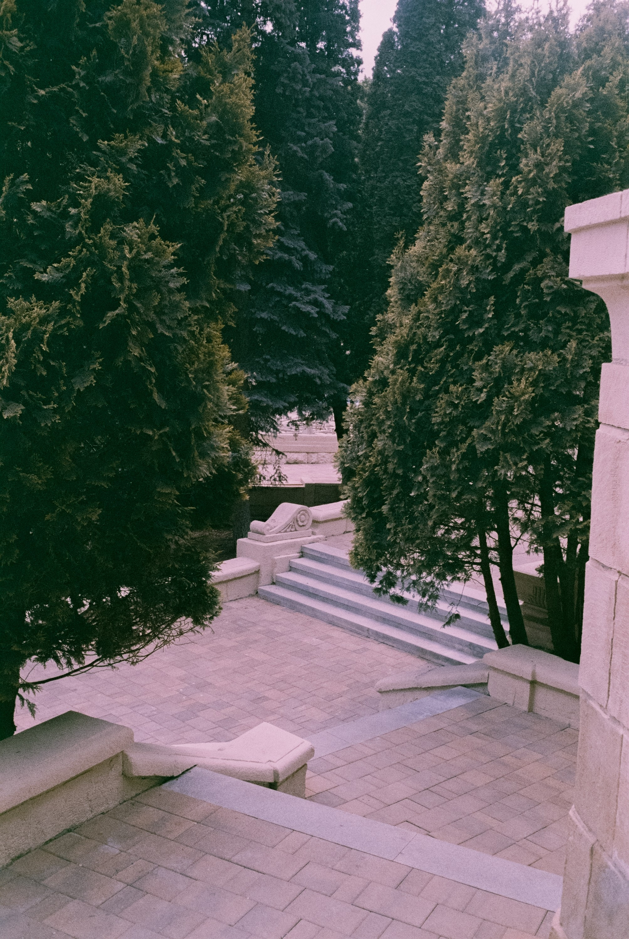 Кисловодск 11 мая / Fujicolor Superia 200 (просрочка) / Minox 35GT