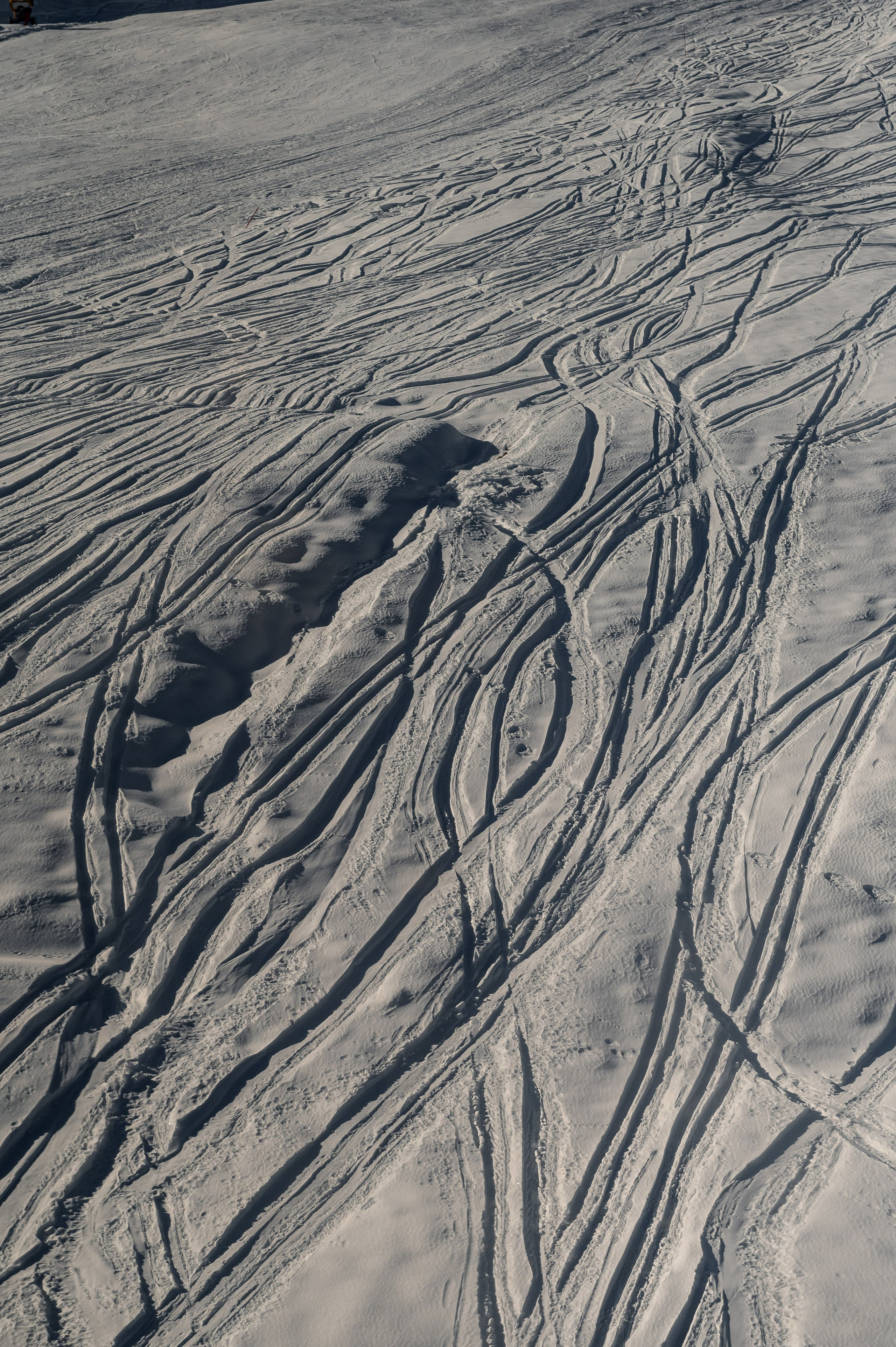 Большая любовь на высоте. Свадебный и семейный фотограф в Ставрополе Роман Иванов