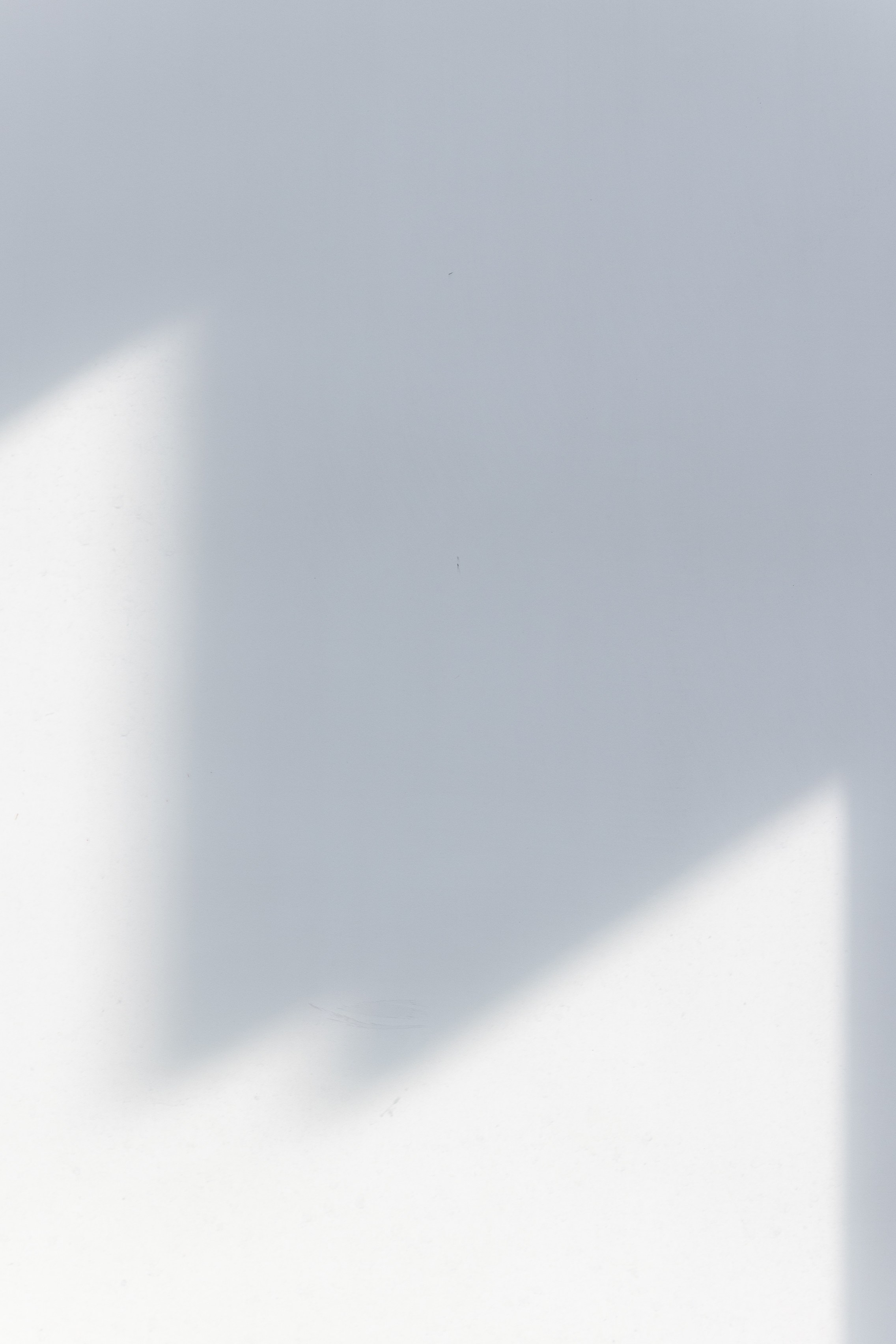 Пейзаж в интерьере | Interior landscape. Фотограф алина стерхова, алина стерхова фотограф, фотограф москва