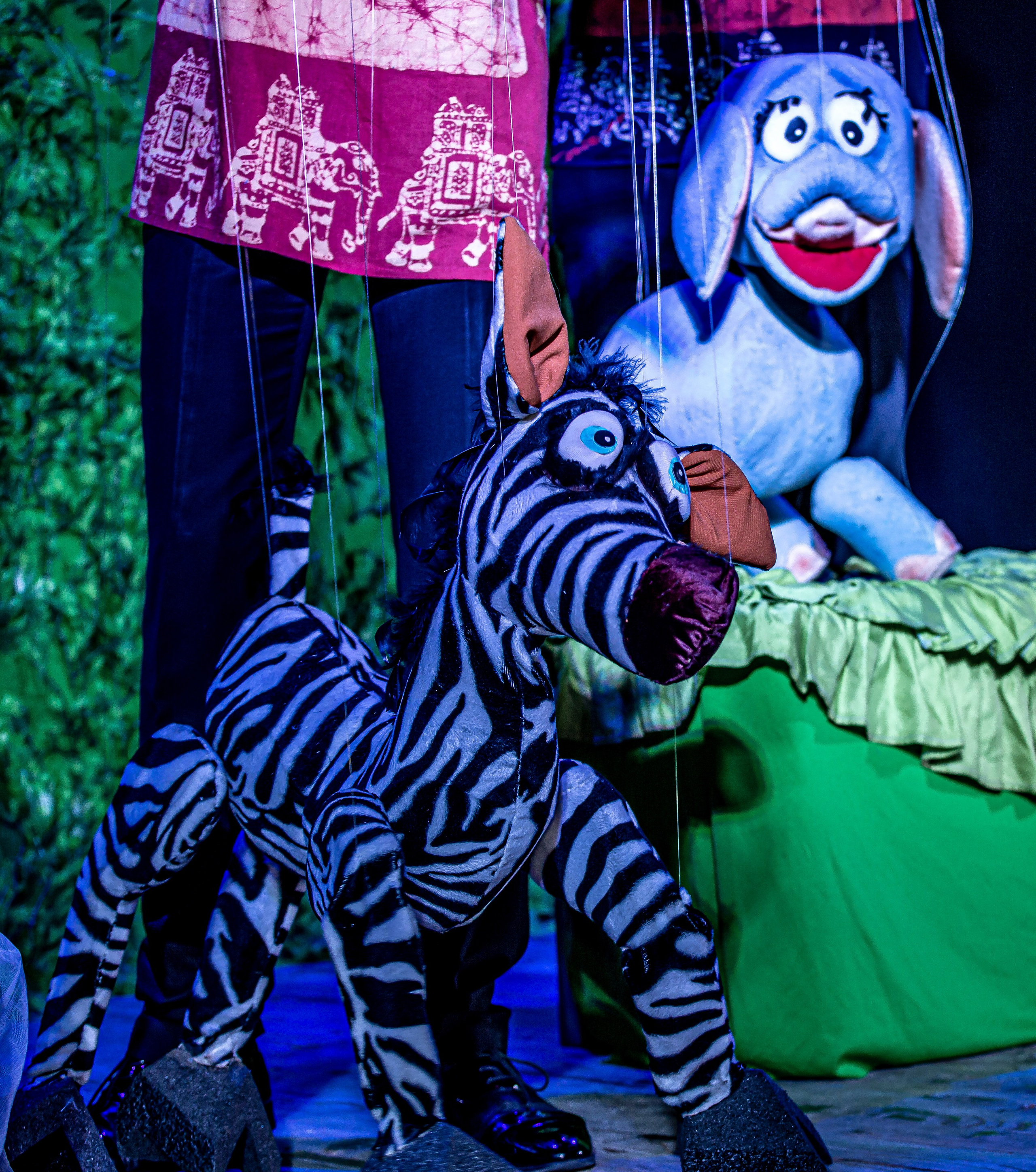 Любопытный слоненок спектакль театра Саквояж. Фотограф в Сочи Юрий Шептаев