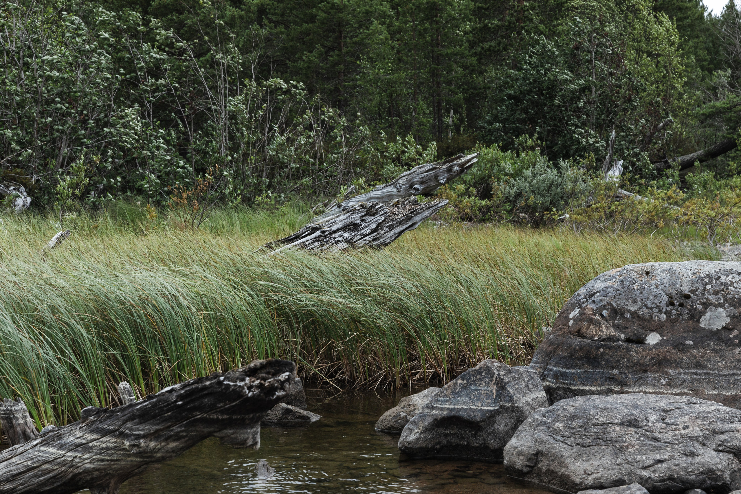 Оз. Колвицкое. Фотографии