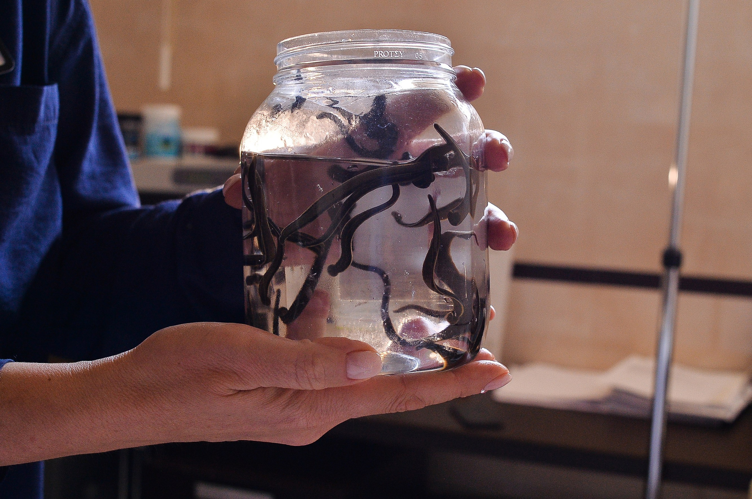 Прием. Медицинский фотограф Лорер Анастасия