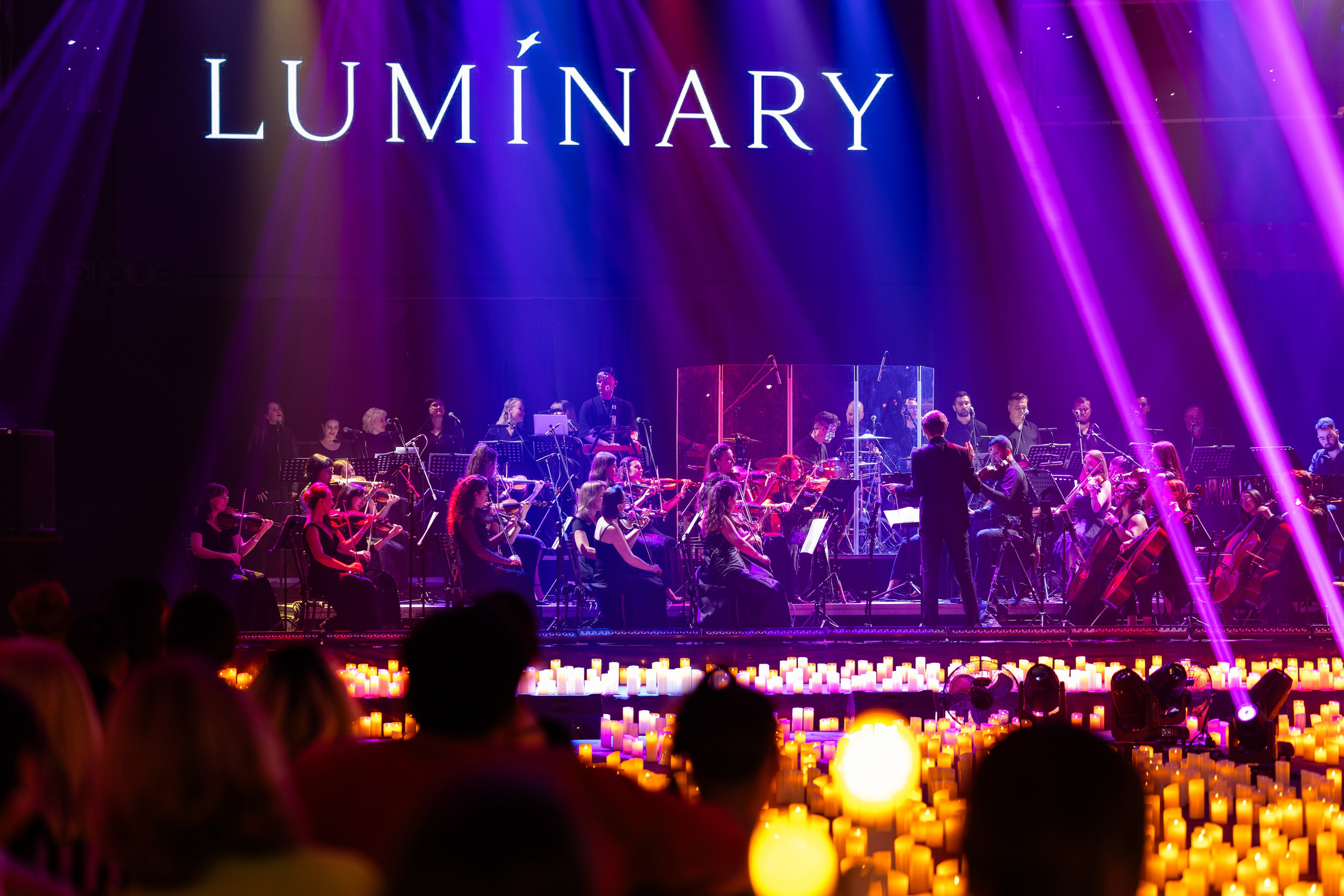 Luminary Баскет-Холл. Руслан Плахтеев