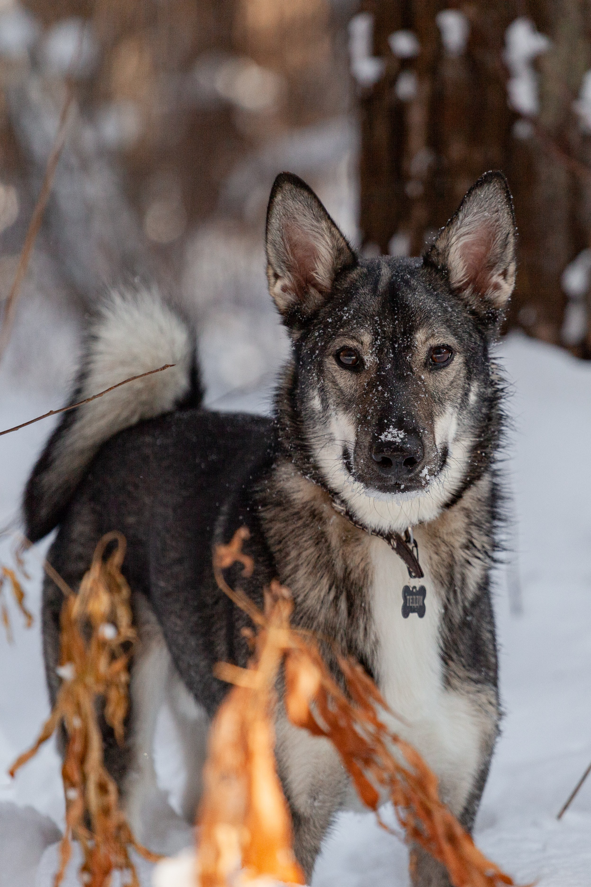 Направления. Креативный фотограф в Екатеринбурге Юлия Николотова