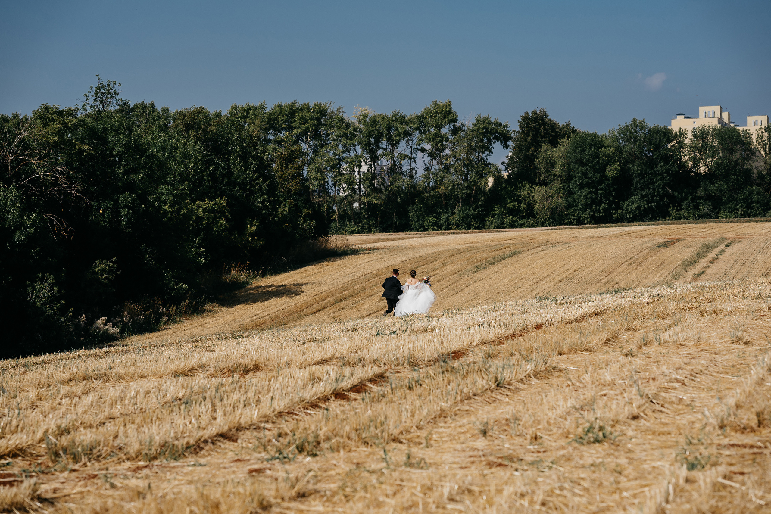 ЮРИЙ | СОФЬЯ. Свадебный и семейный фотограф Юлия Грибанова +7 909-133-66-33