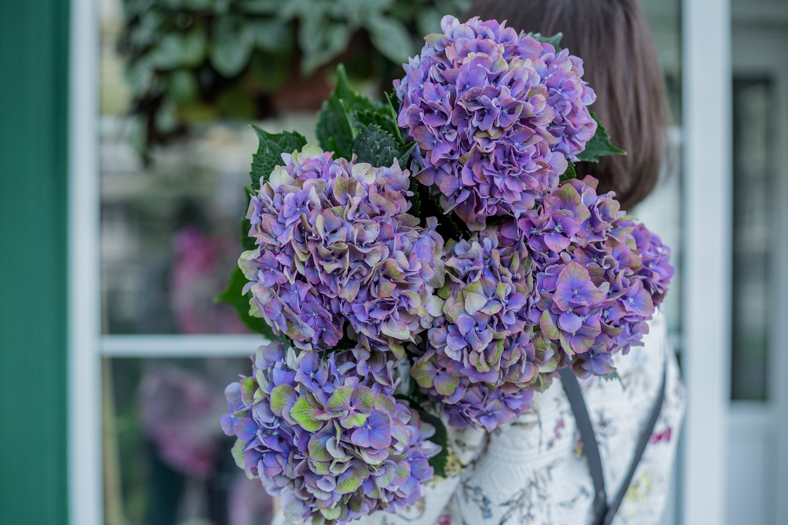 Pascal Flowers. Photographer in Montenegro — professional photoshoots