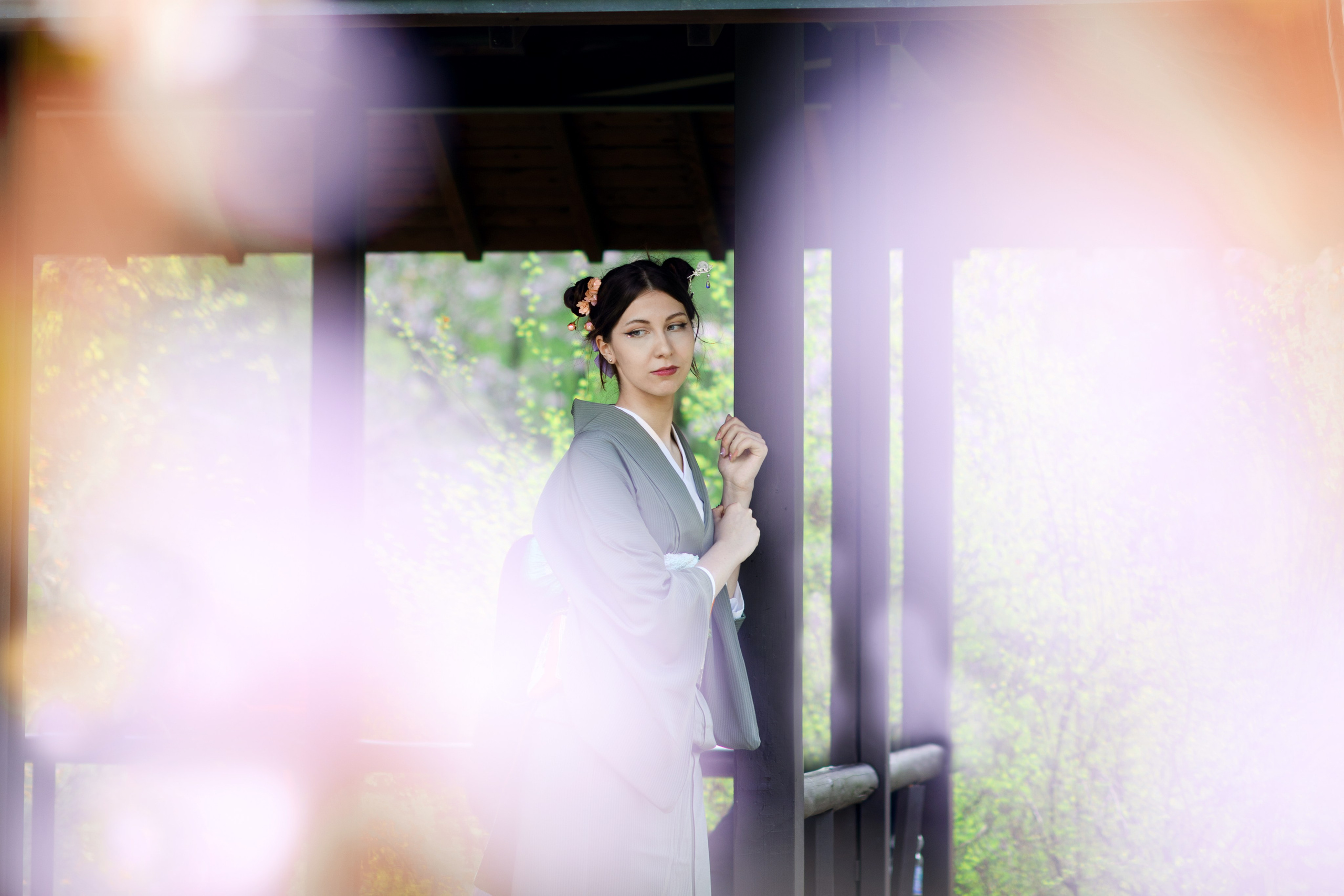 Любование цветением сакуры в Японском саду. Главная