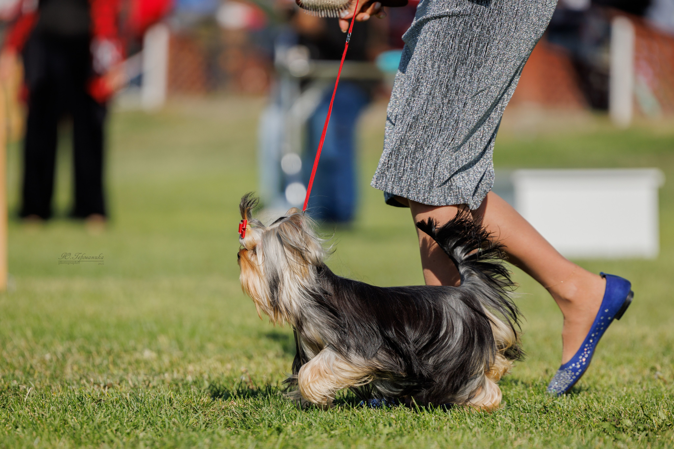 Ереван 14-16.10.2025. Фотограф-анималист Юлия Германика