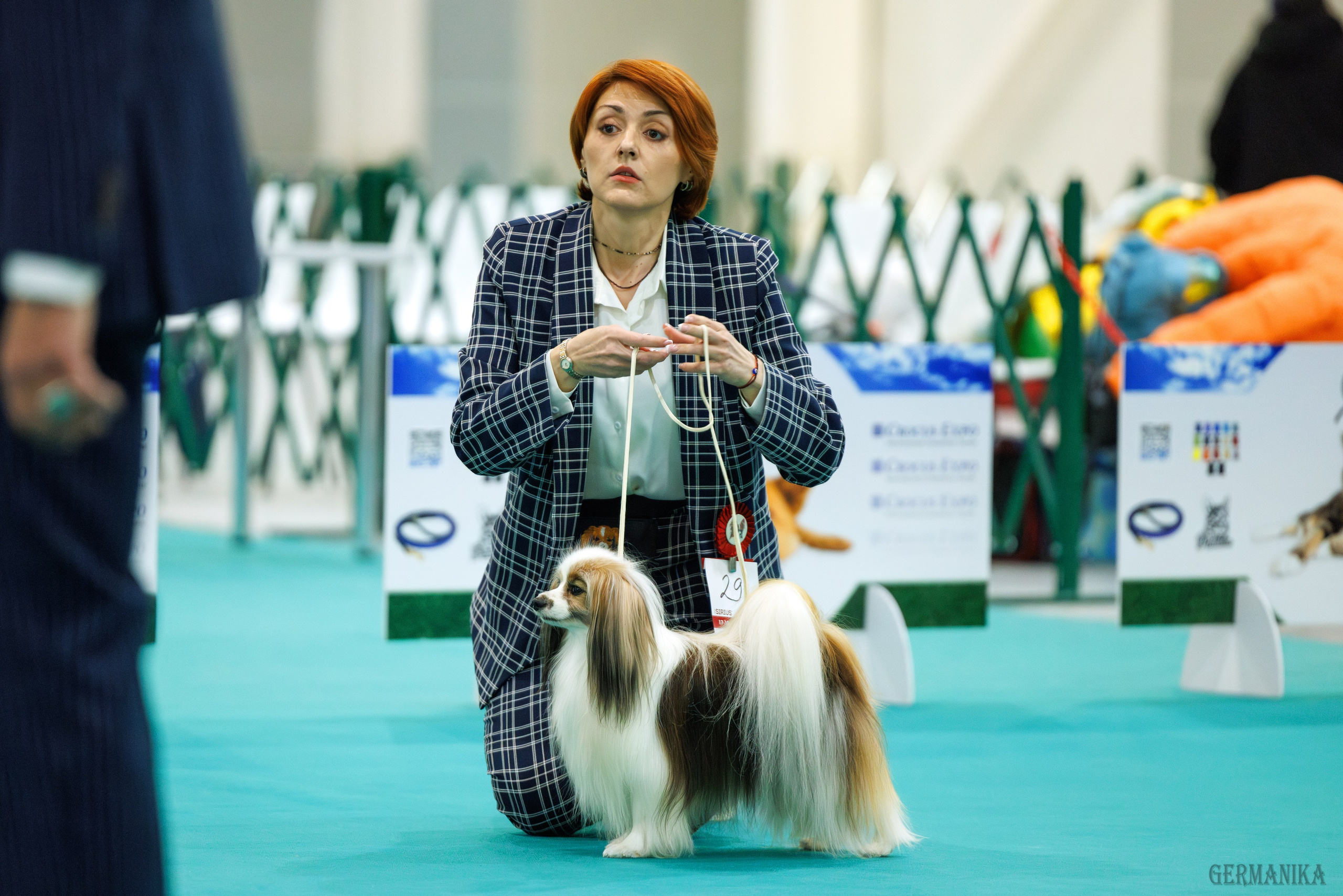 Лучшие Собаки России 17-18.02.2024. Фотограф-анималист Юлия Германика