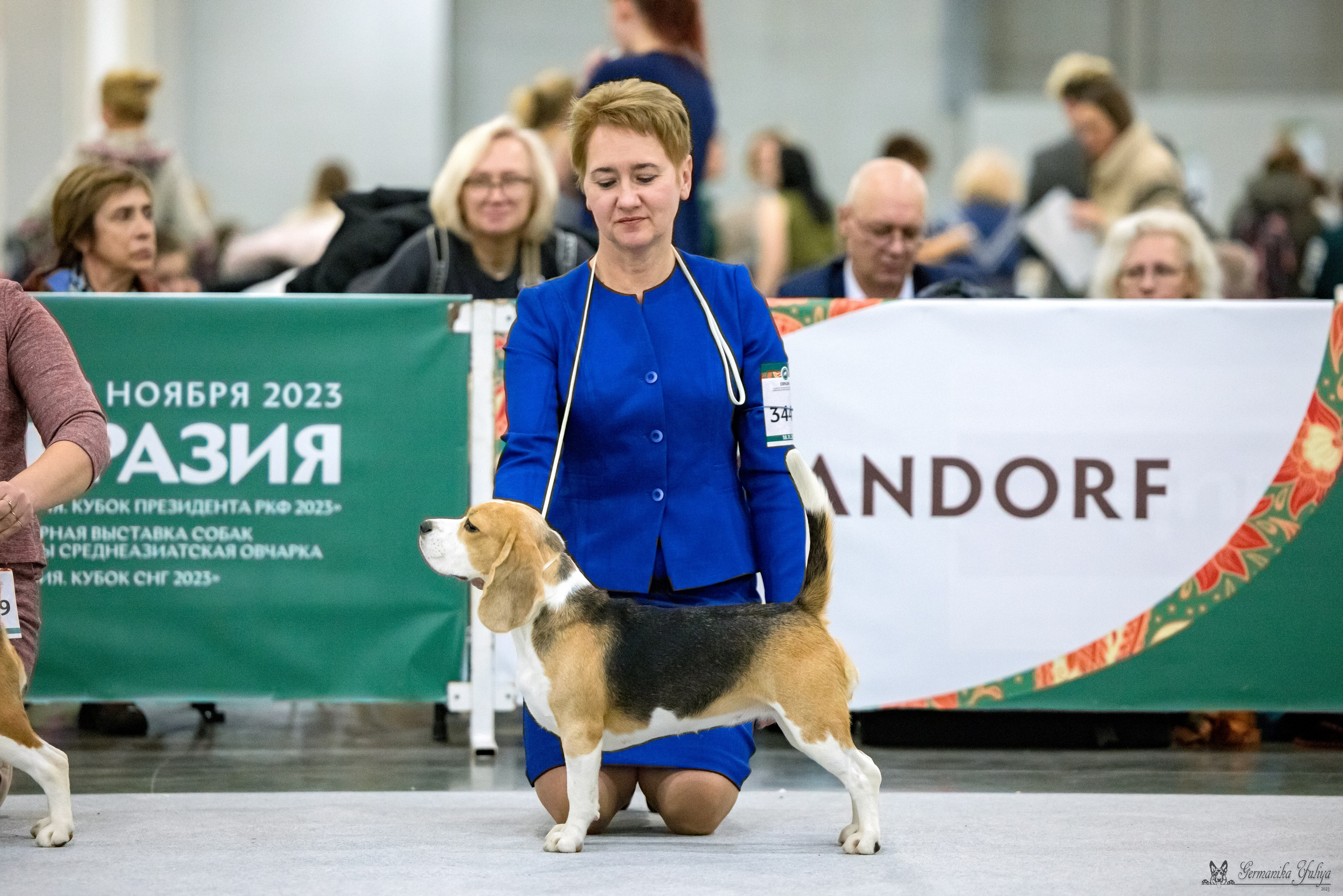 ЕВРАЗИЯ 18-19.11.2023. Фотограф-анималист Юлия Германика