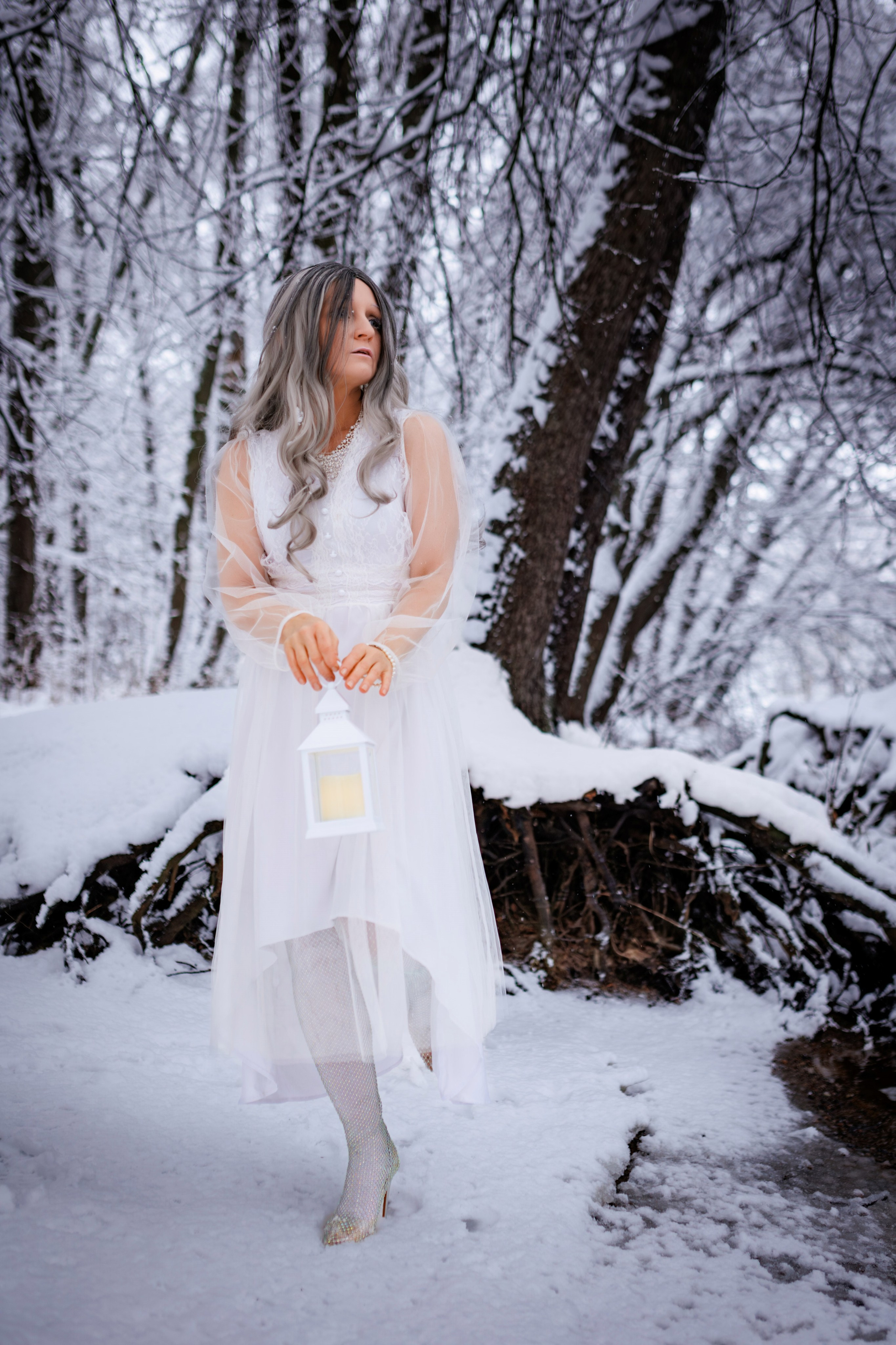 2025-01-08. Зимняя фея, 🧚‍♂️