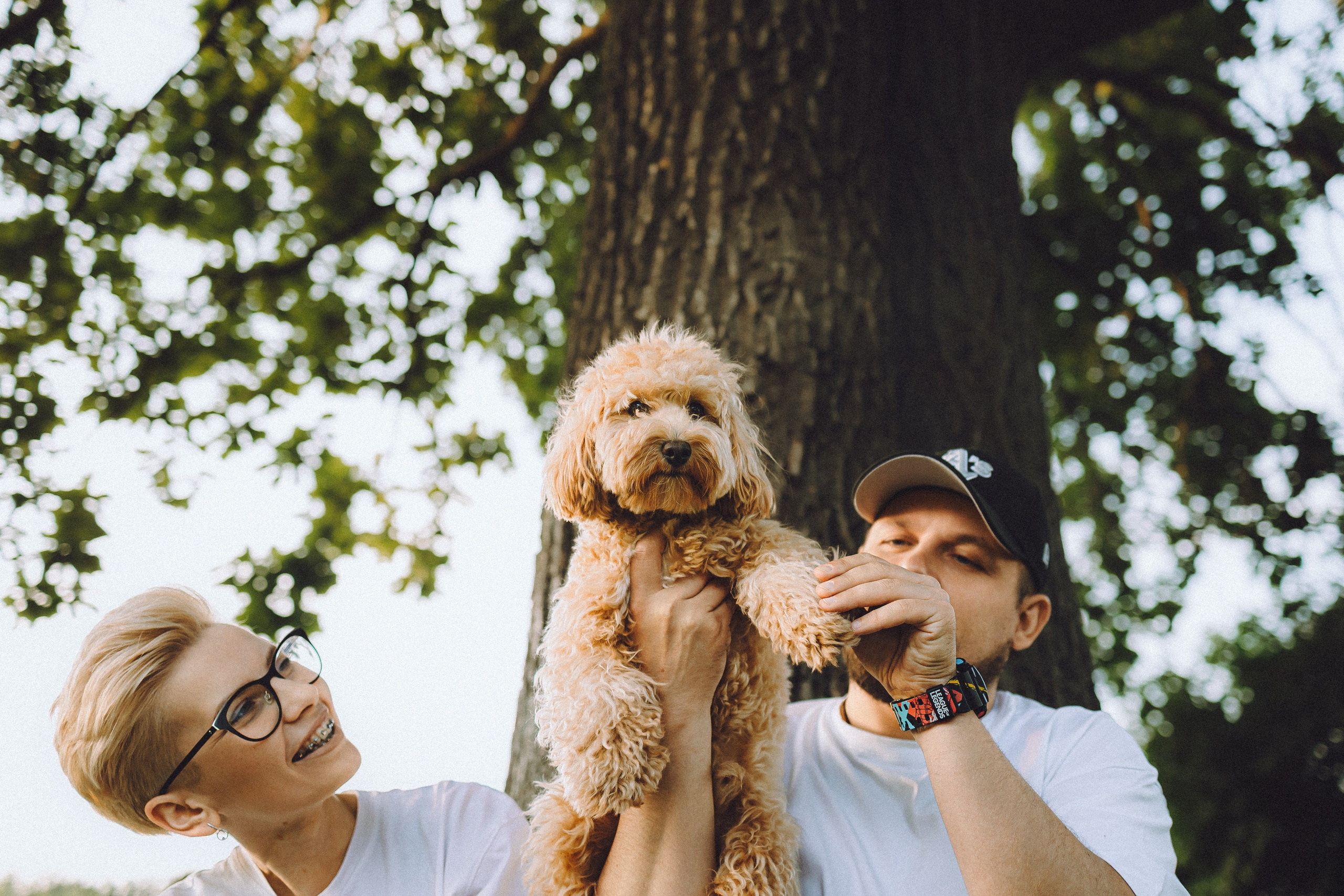 Фред и его семья