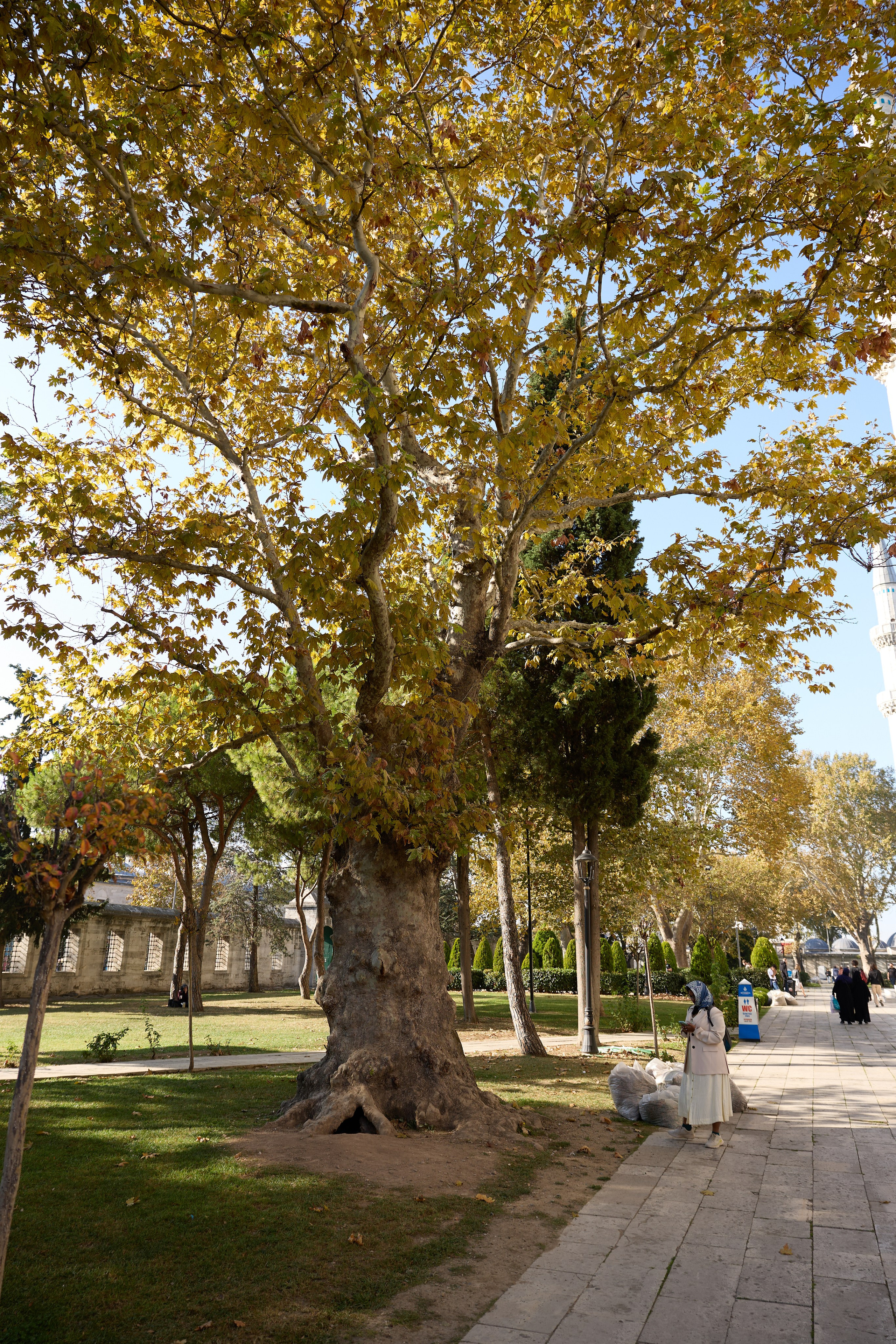 Стамбул 24. Фотограф Москва, Дима Пеллер