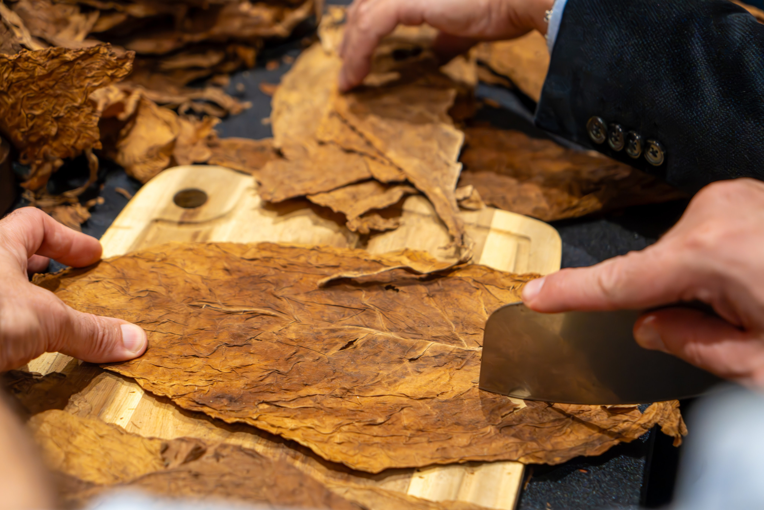 MICE мероприятие для компании «Базис». Репортажный фотограф в Красной Поляне и Сочи Павлюченко Екатерина