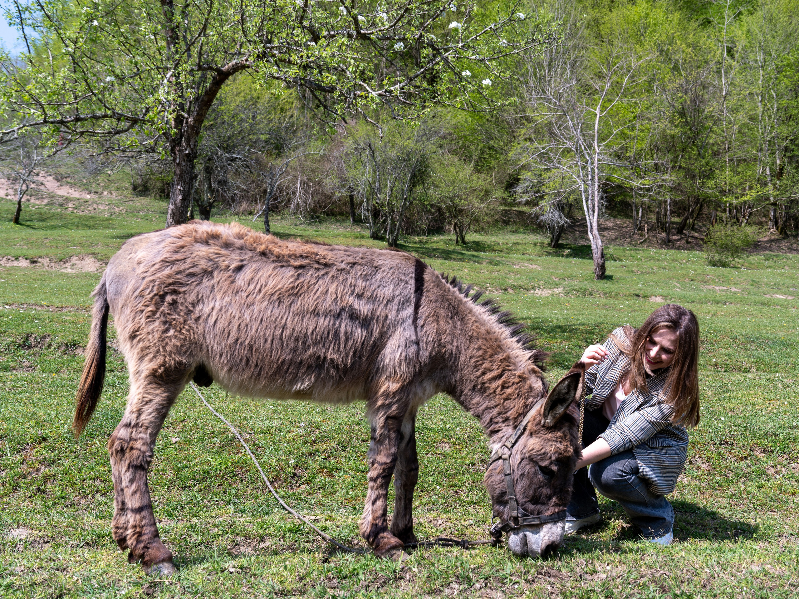 MICE мероприятие — джиппинг на каньон Псахо. Репортажный фотограф в Красной Поляне и Сочи Павлюченко Екатерина