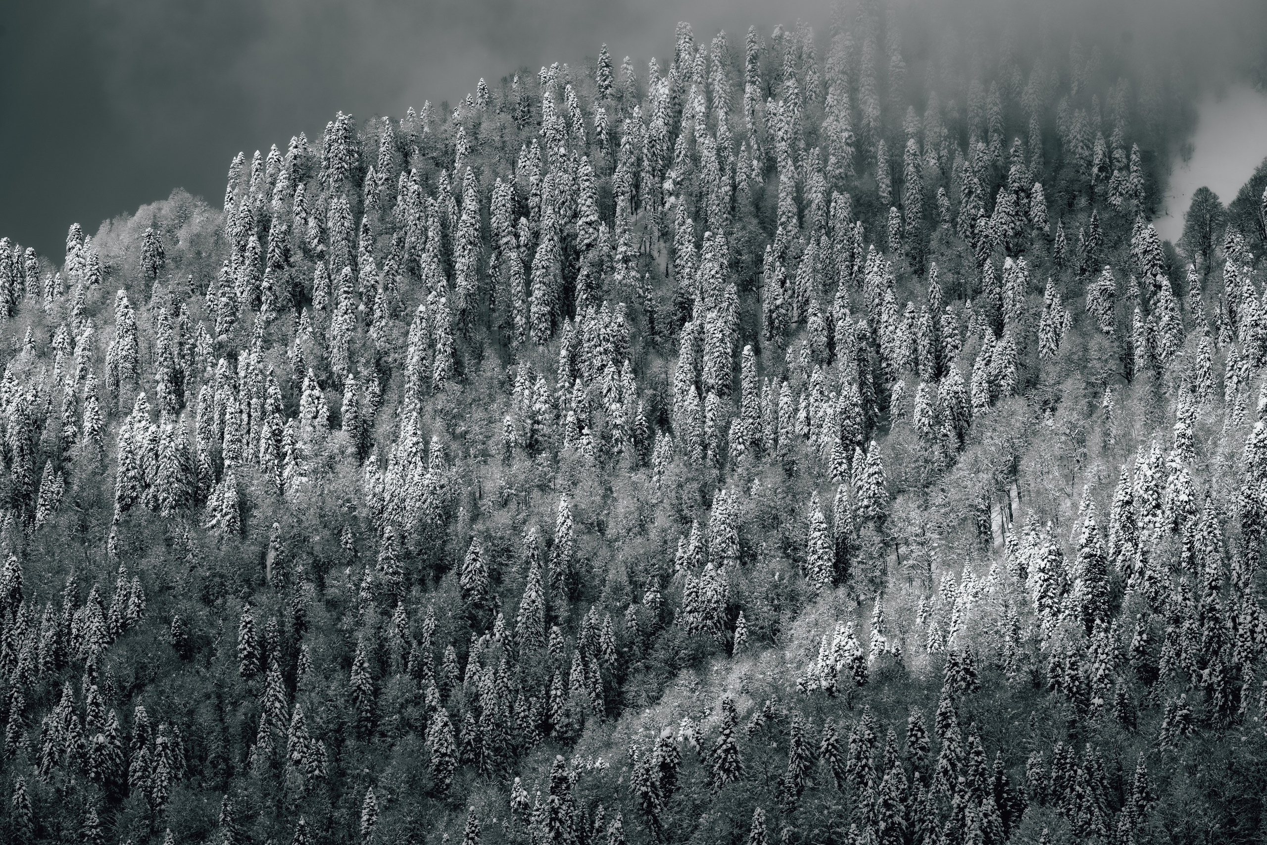 Путешествия и пейзаж. Репортажный фотограф в Красной Поляне и Сочи Павлюченко Екатерина
