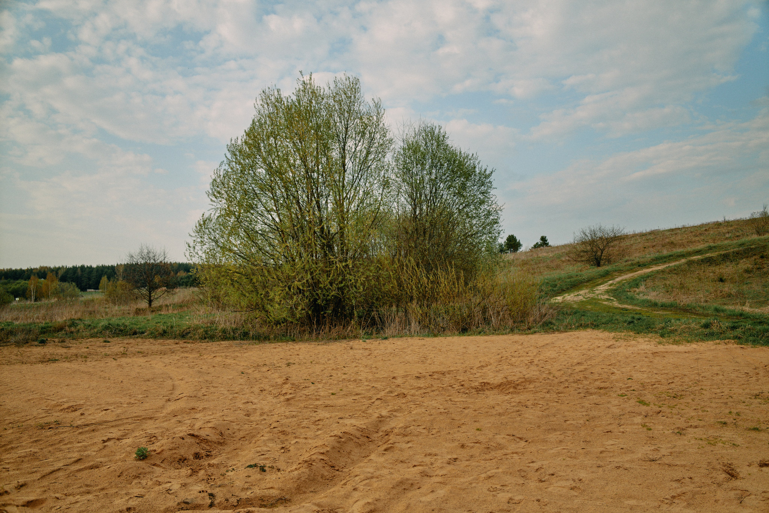 Бутик-отель Поле летом. Профессиональный Фотограф во Владимире, в Москве и в Суздале — Полина Романычева