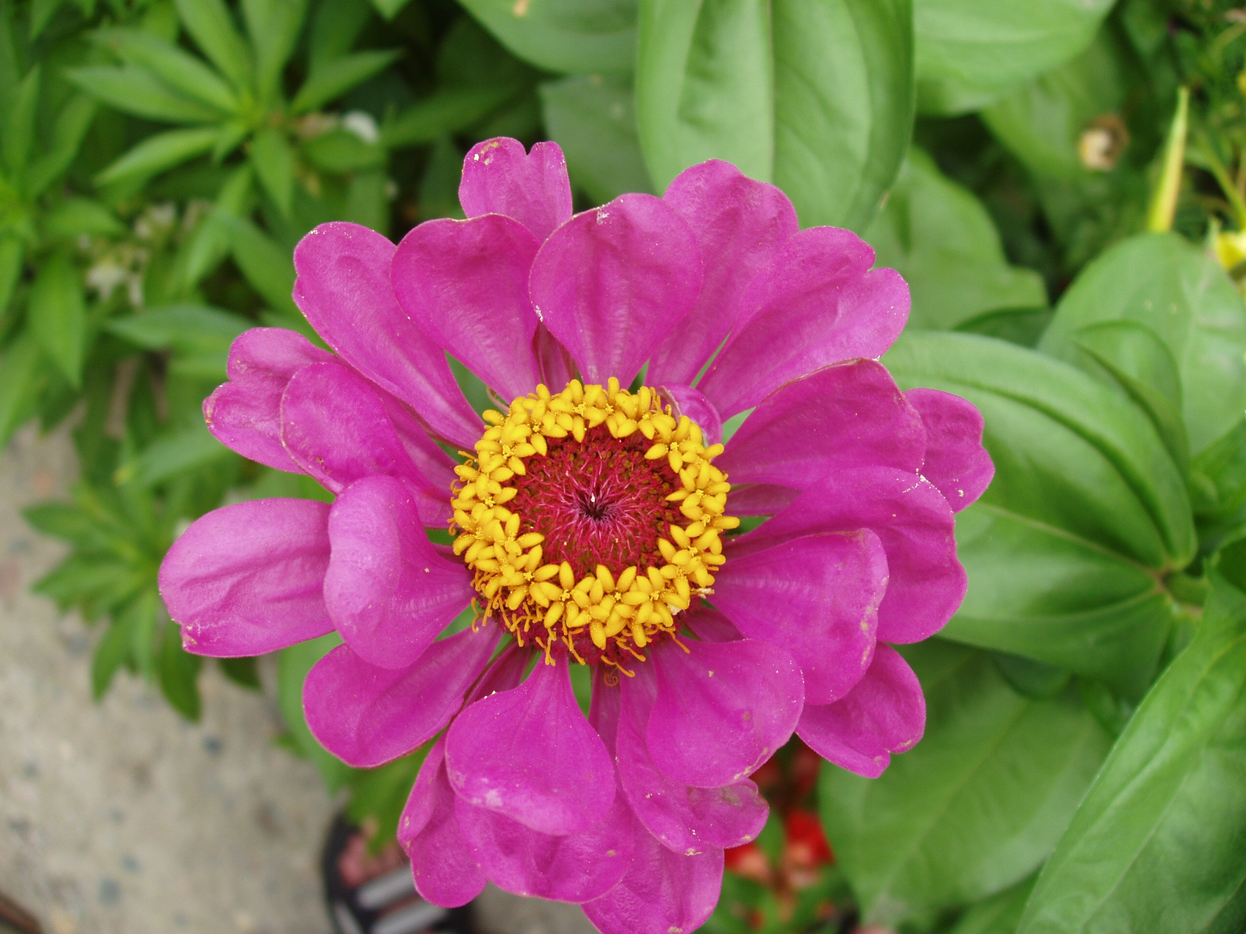 Отпуск 20.07-17.08. Семейный, Свадебный фотограф СПБ Питер— Романова Екатерина