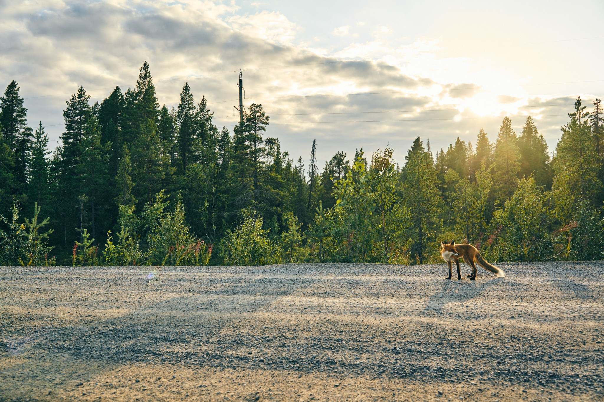 Путешествие на Север в 2023 году. Внедорожные путешествия — OFFROADTRIP